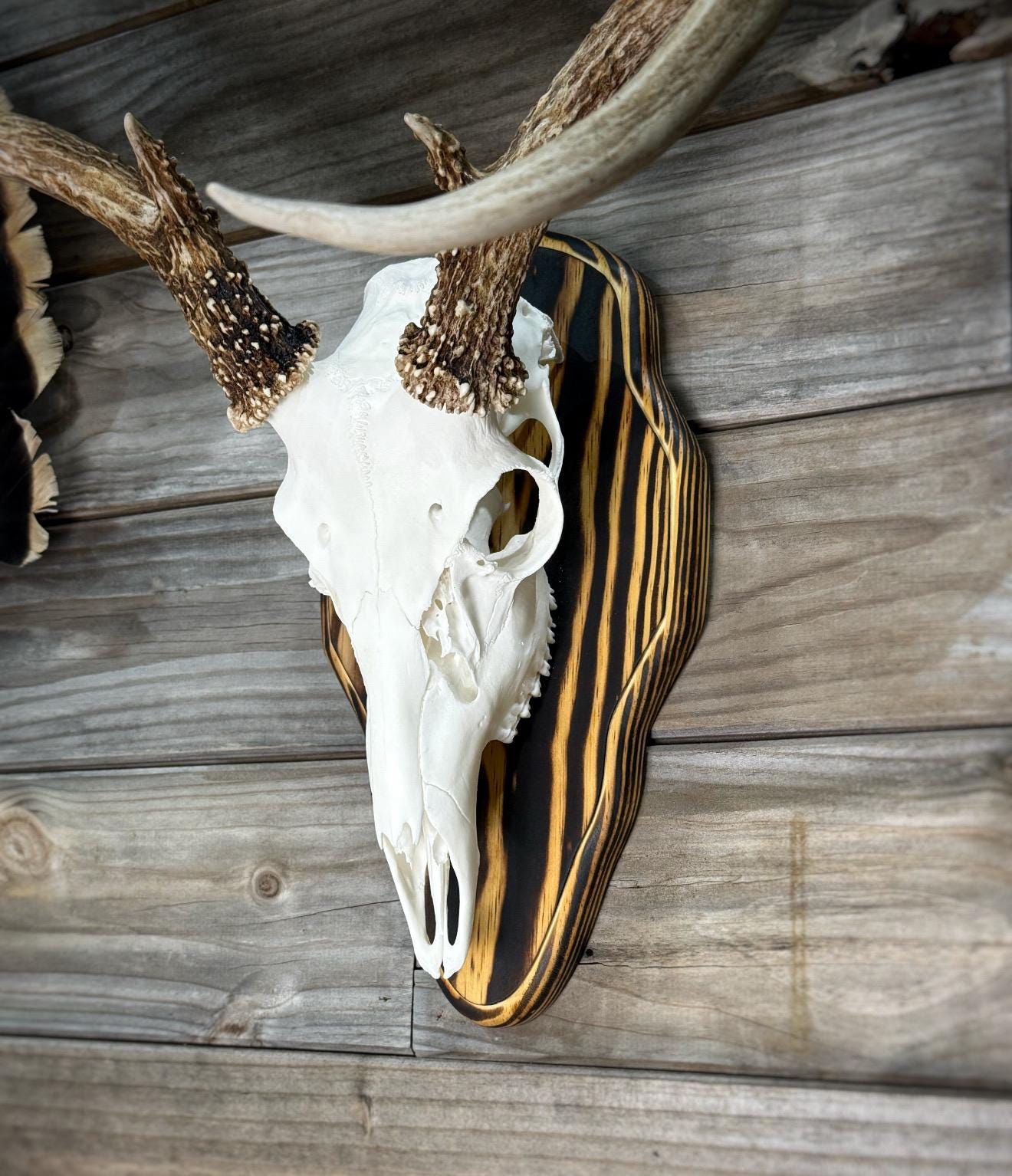 Barnwood European Plaque (Burnt Edges) (Rounded)