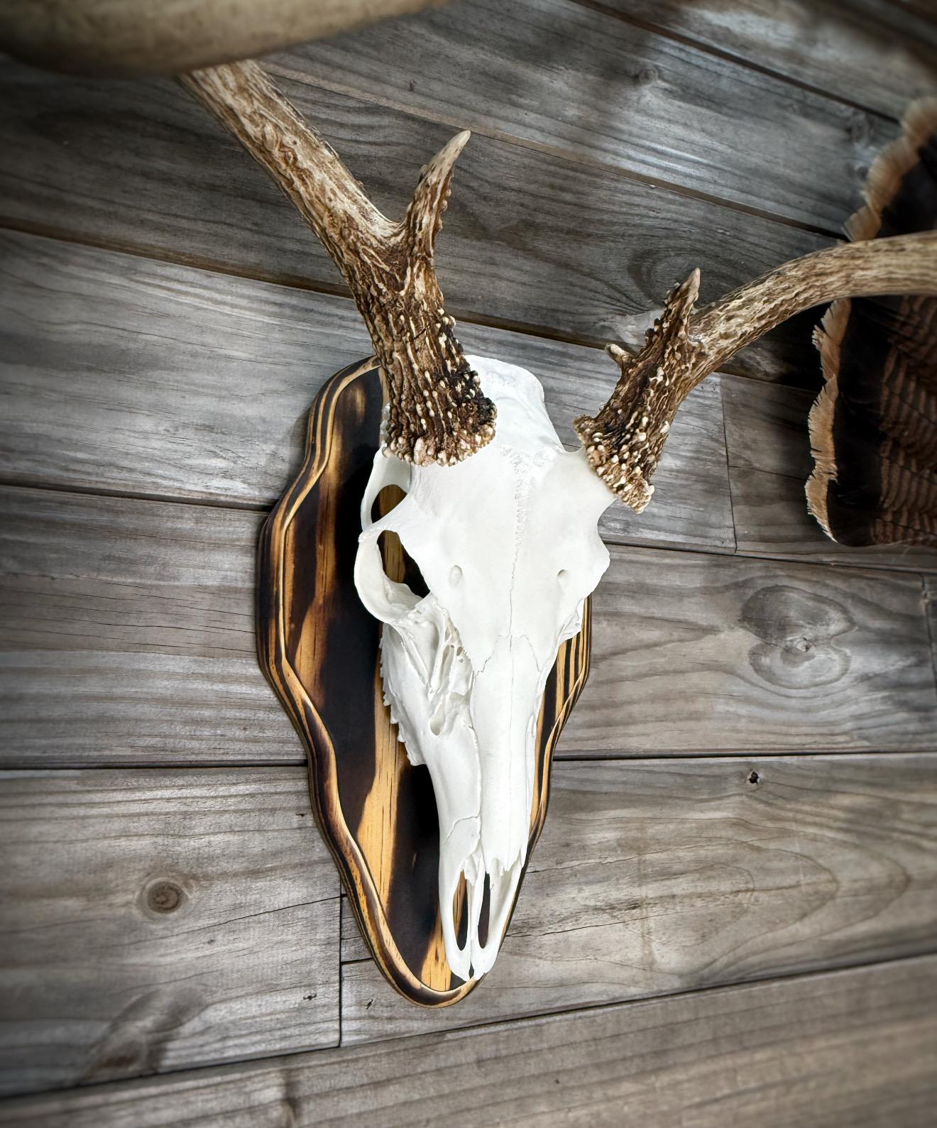 Barnwood European Plaque (Burnt Edges) (Rounded)