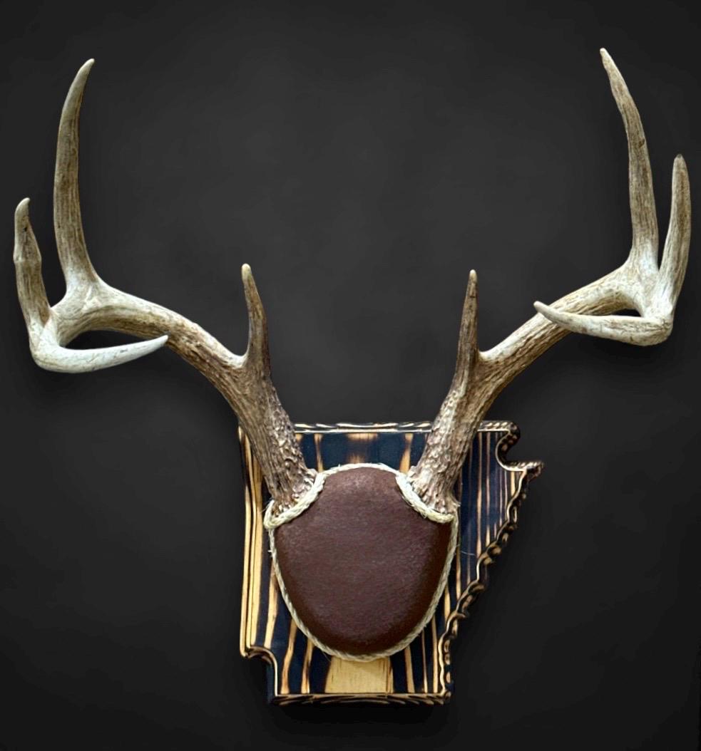 Arkansas Antler Mount Kit (Instructional Video) (All States Available)