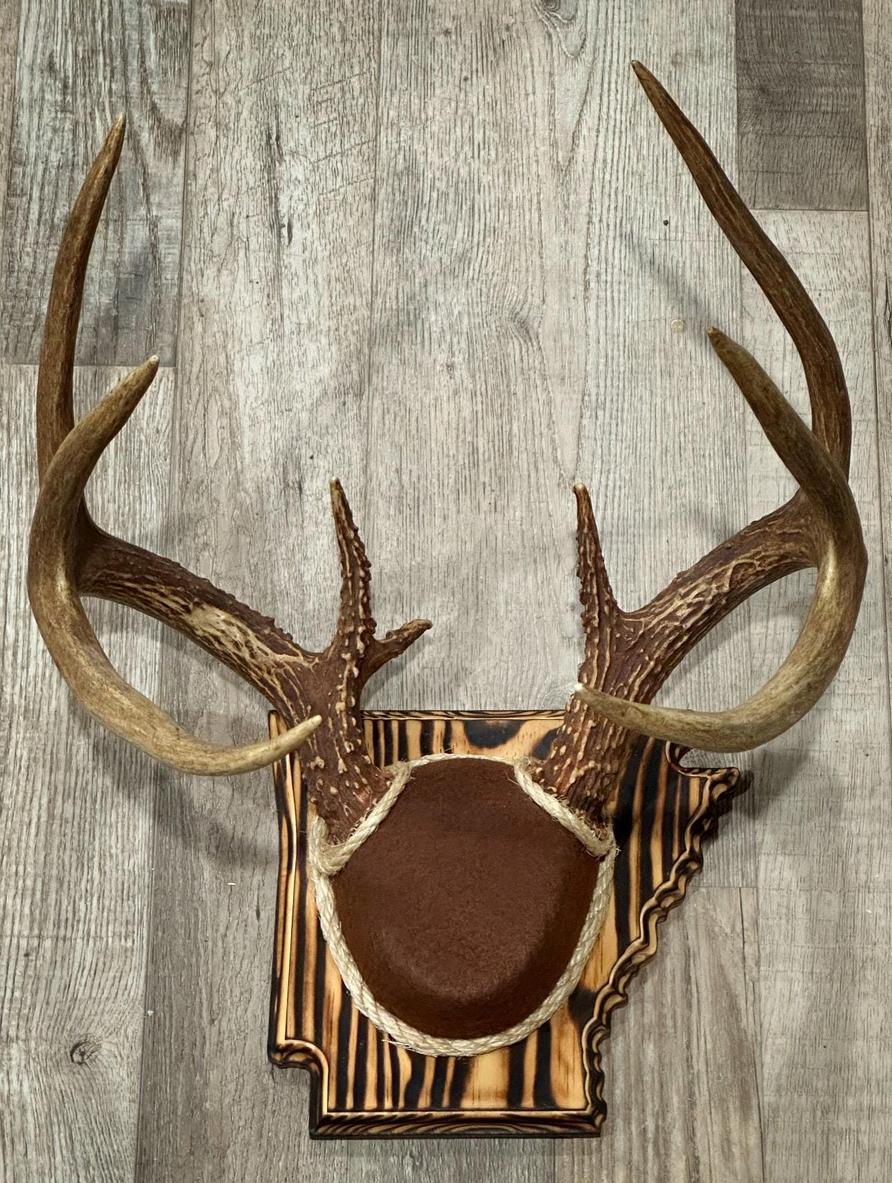 Arkansas Antler Mount Kit (Instructional Video) (All States Available)