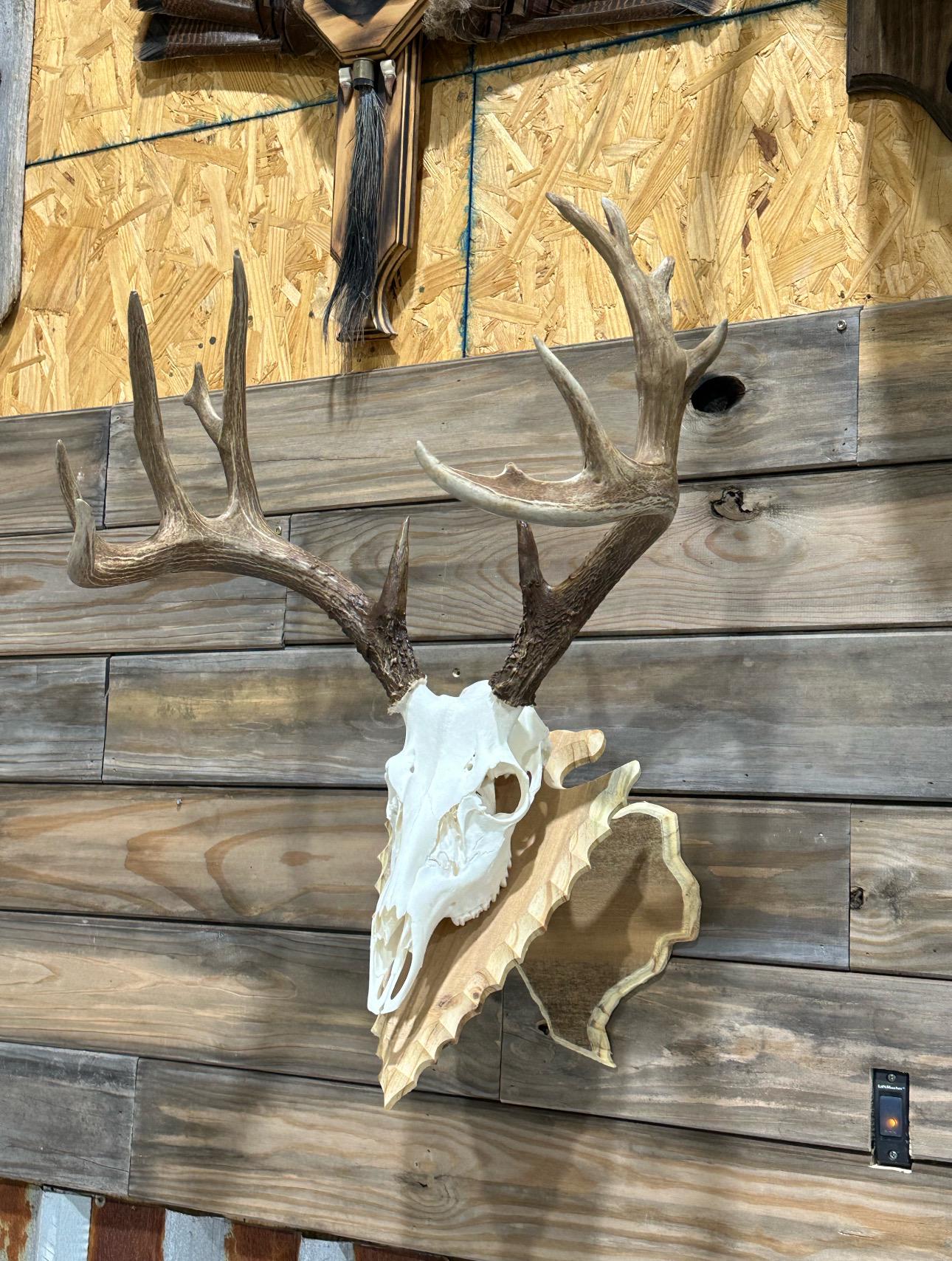 Texas Wall Pedestal