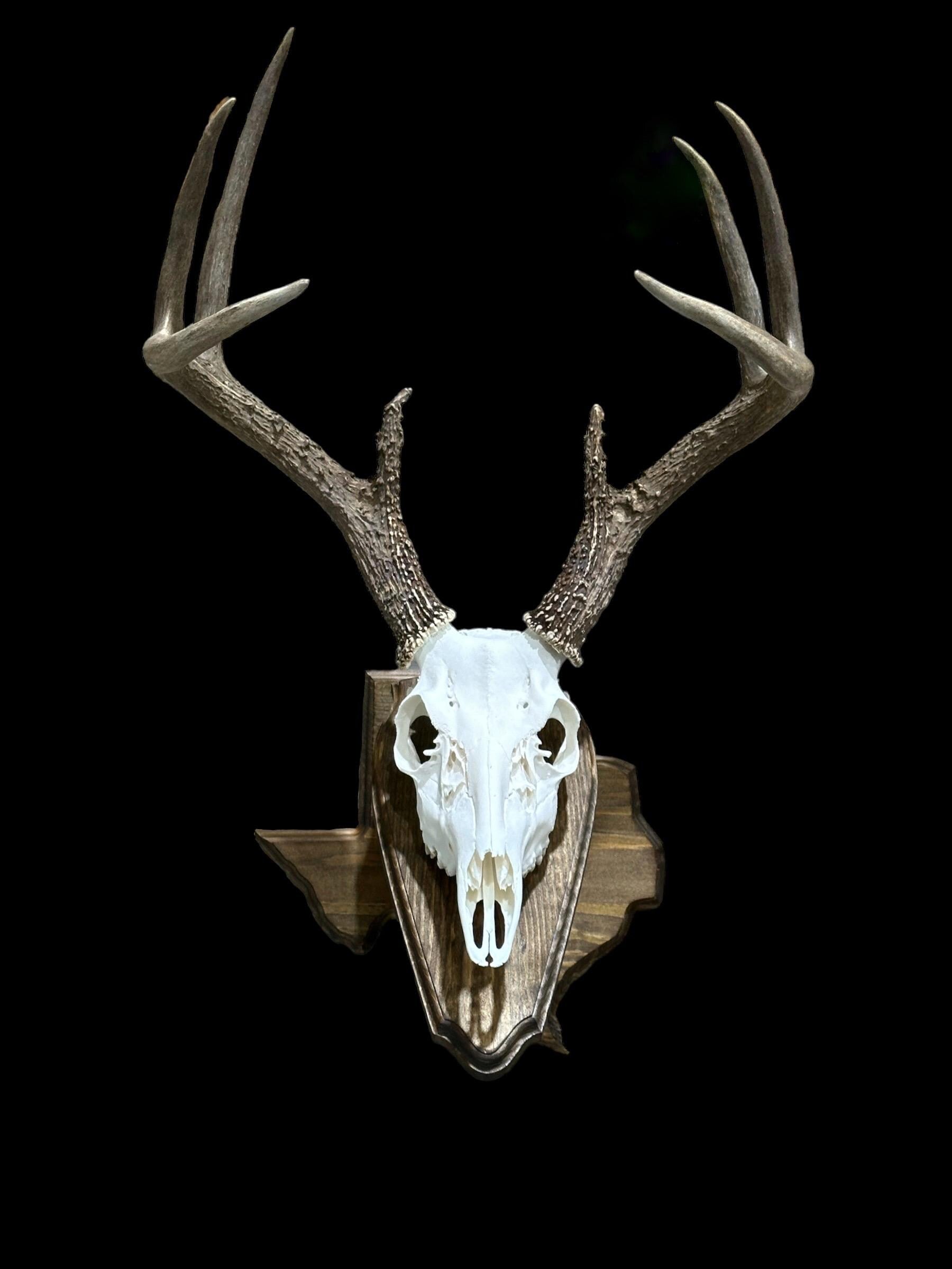 Texas Wall Pedestal