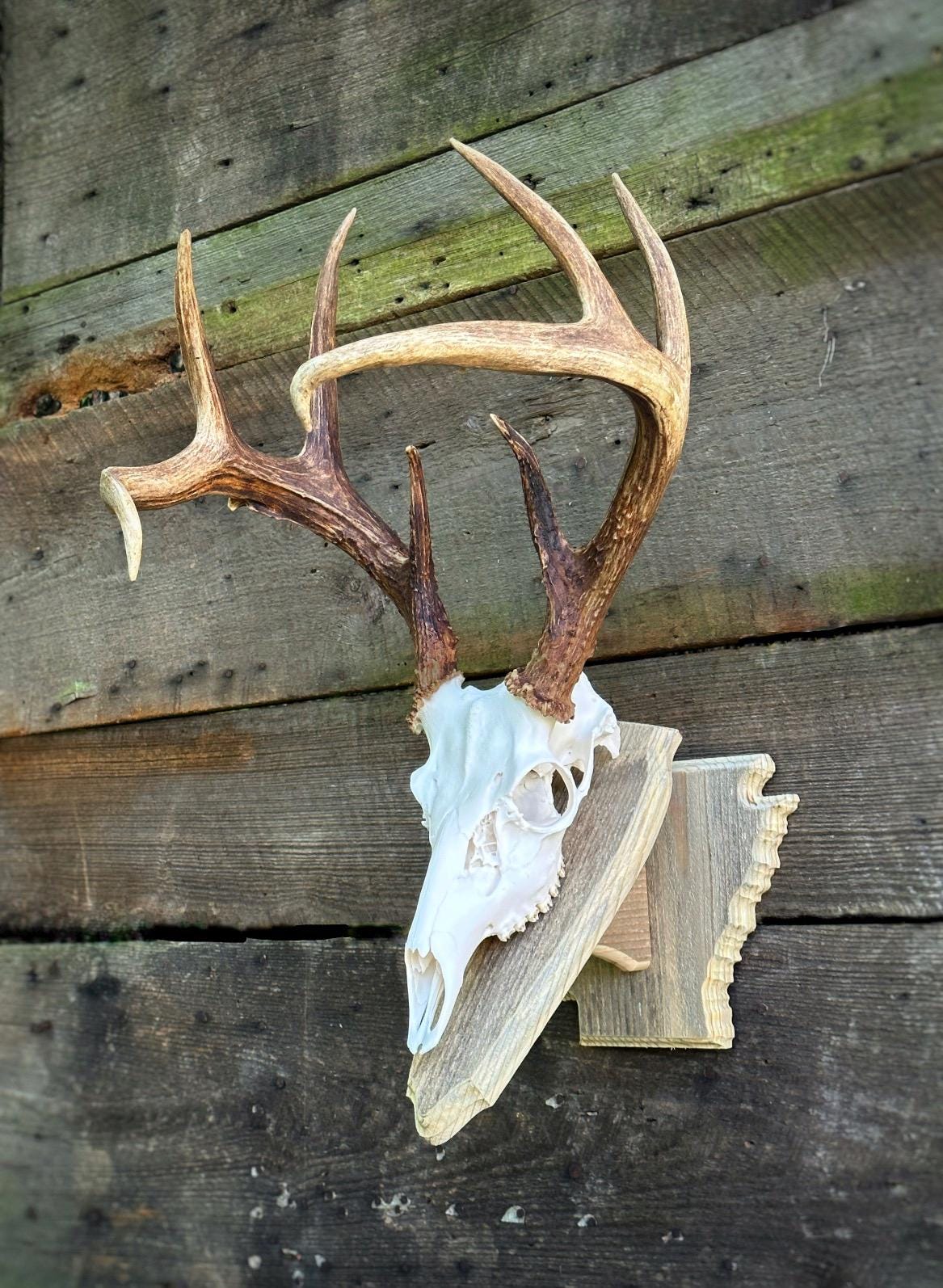 Arkansas Wall Pedestal