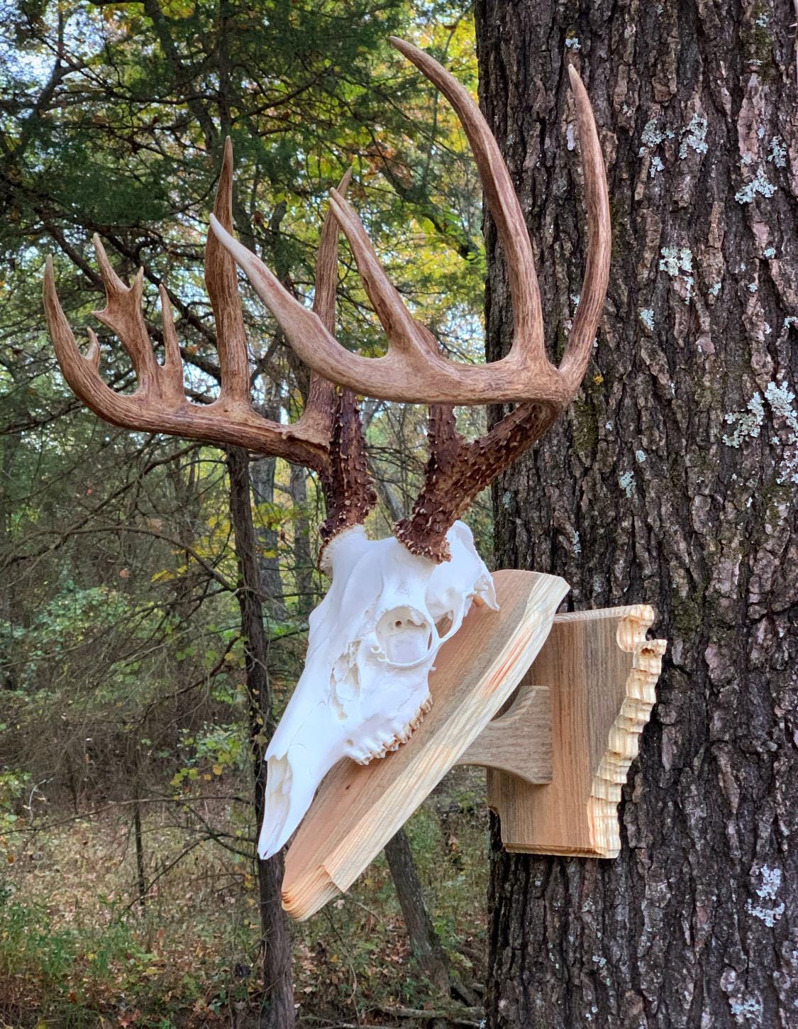 Arkansas Wall Pedestal