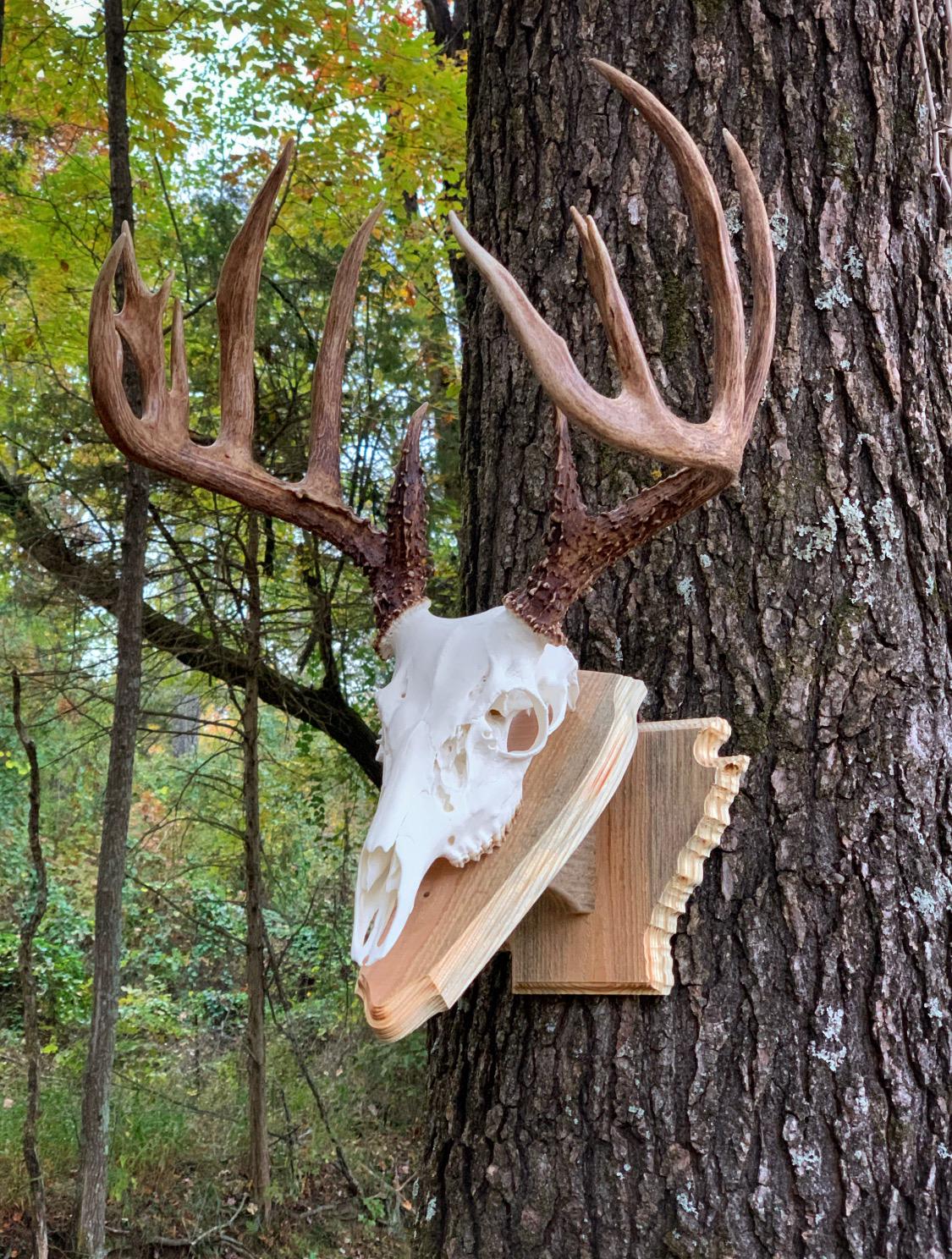 Arkansas Wall Pedestal