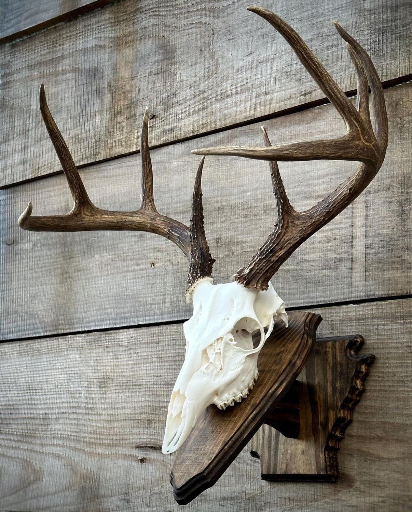 Arkansas Wall Pedestal
