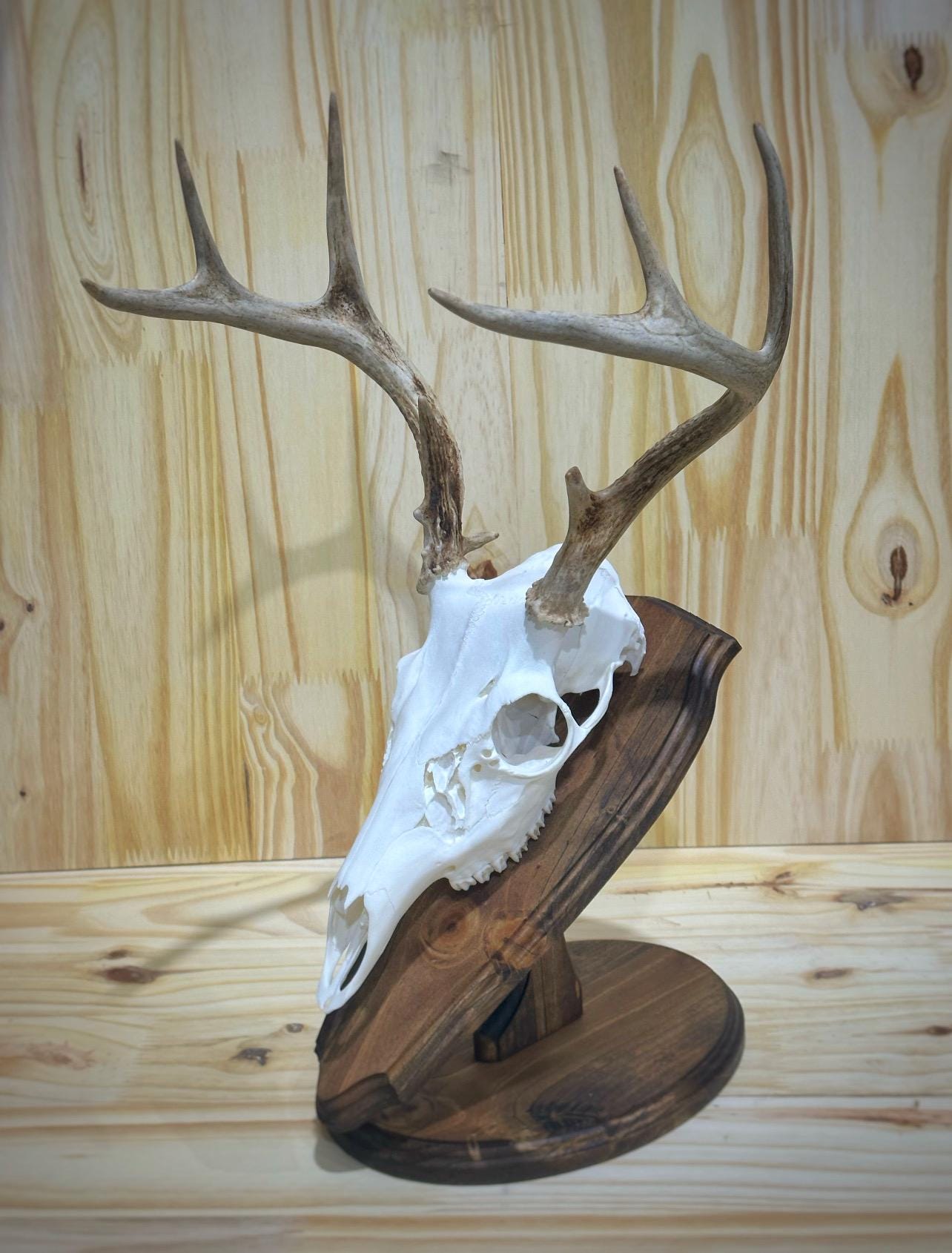 Oval Tabletop Pedestal