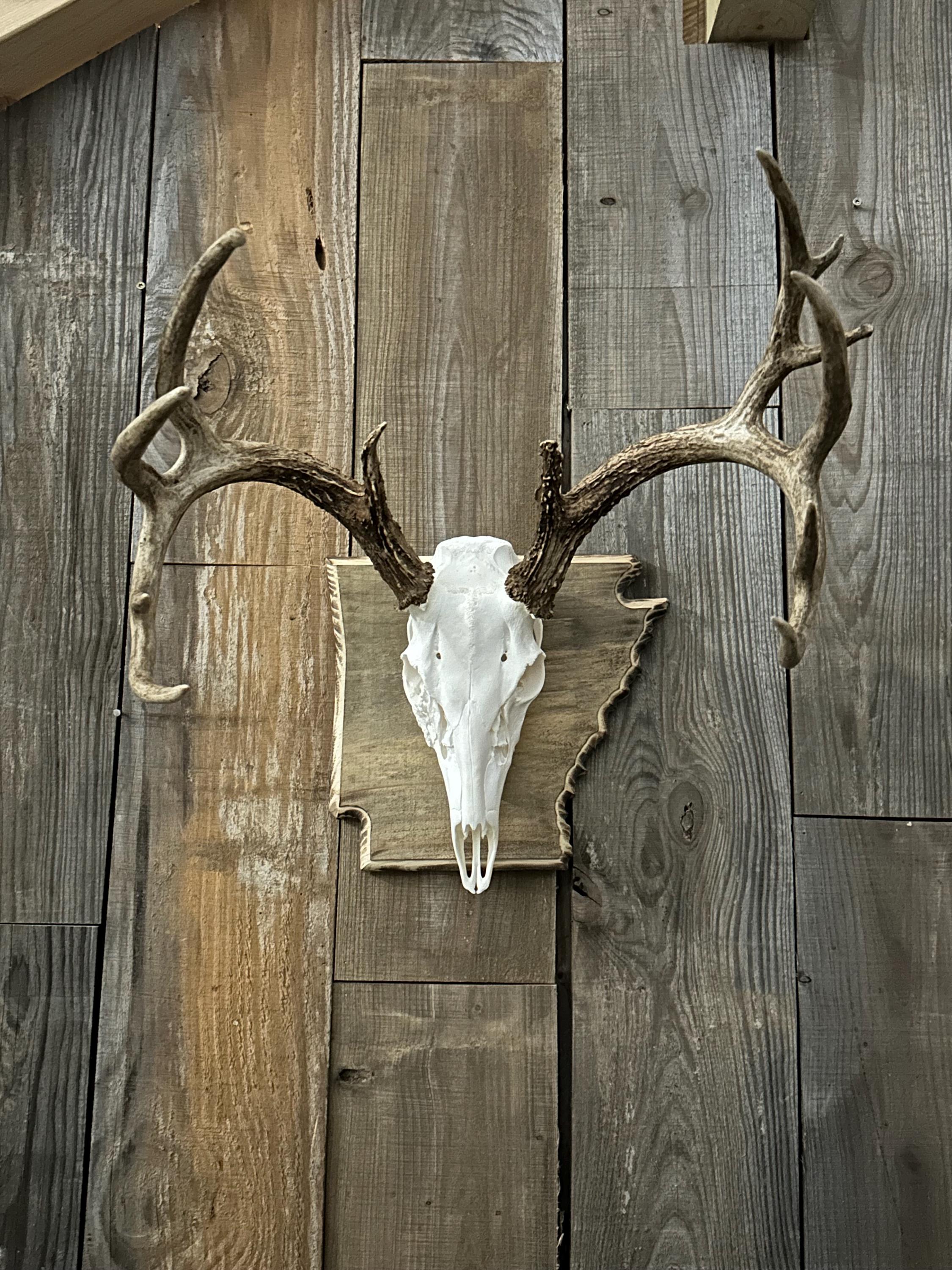 Arkansas Large State Plaque