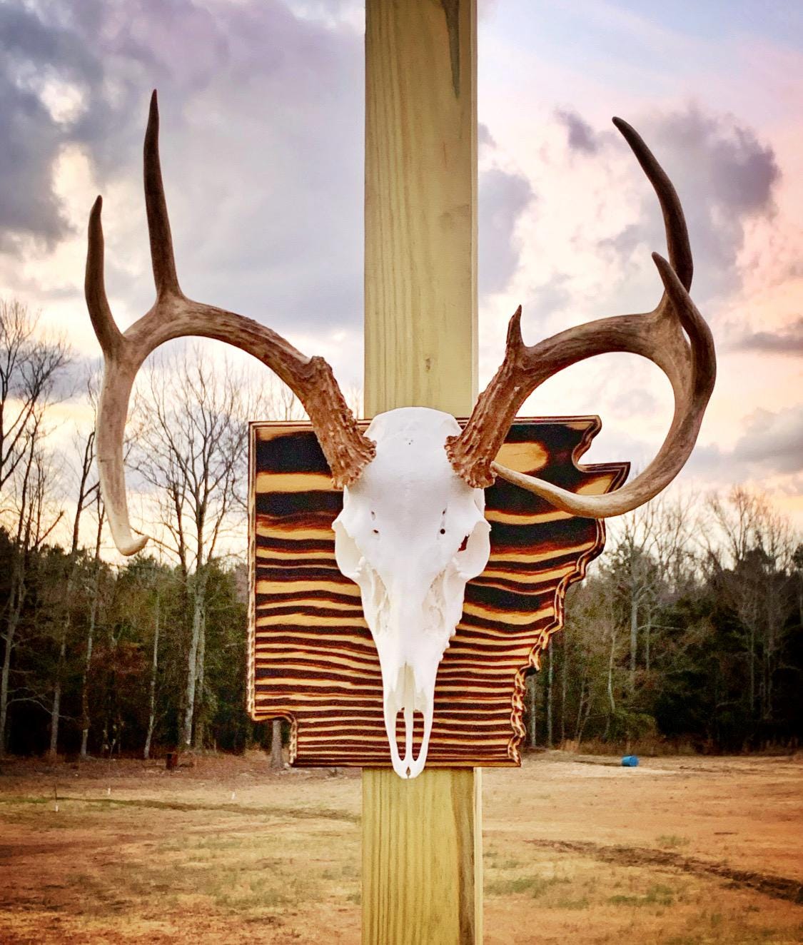 Arkansas Large State Plaque