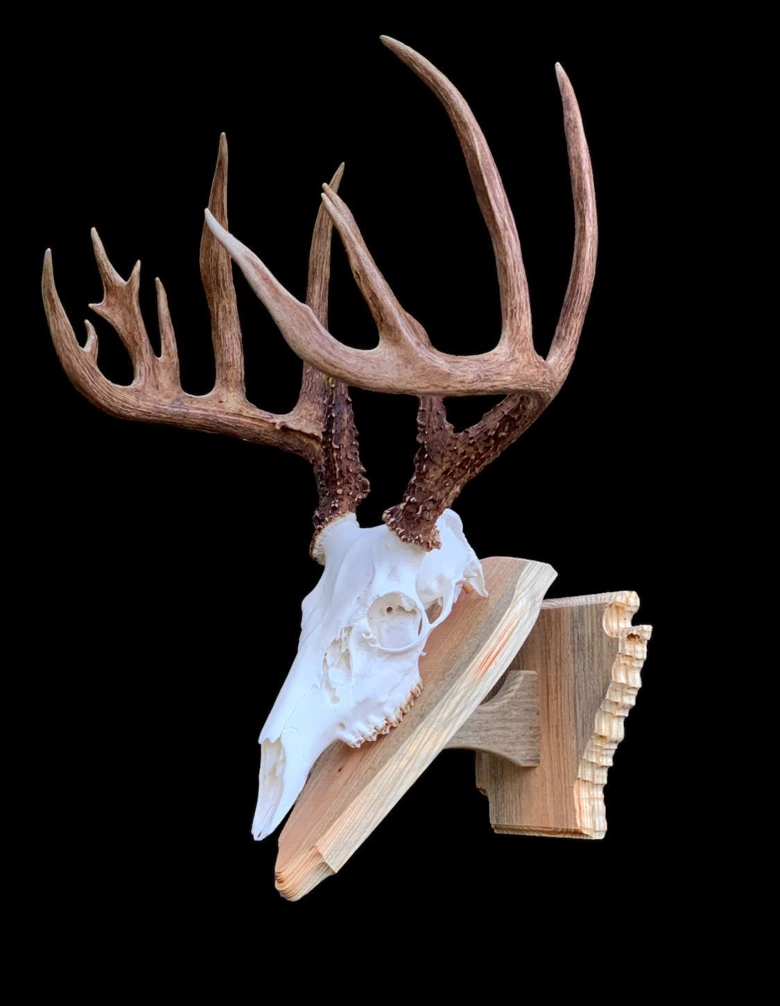 Arkansas Wall Pedestal