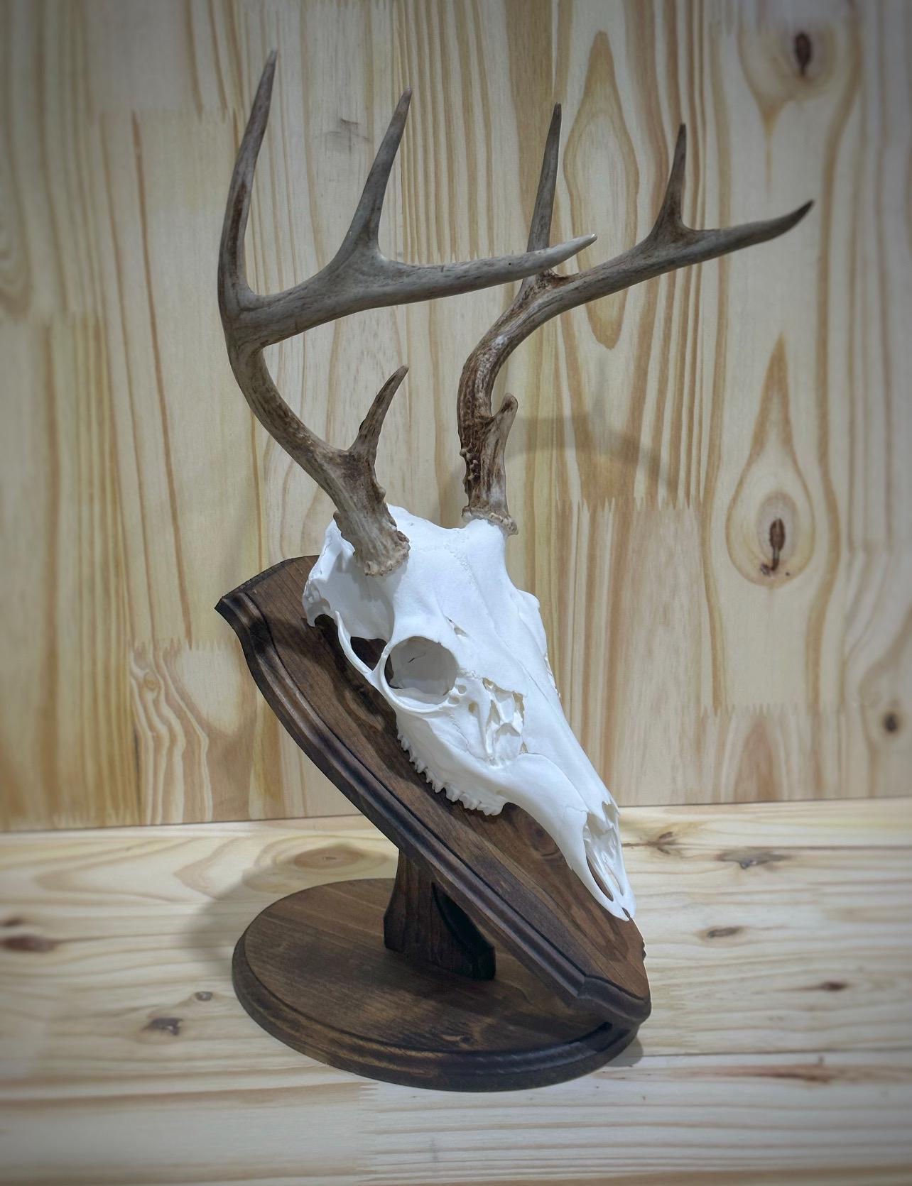Oval Tabletop Pedestal