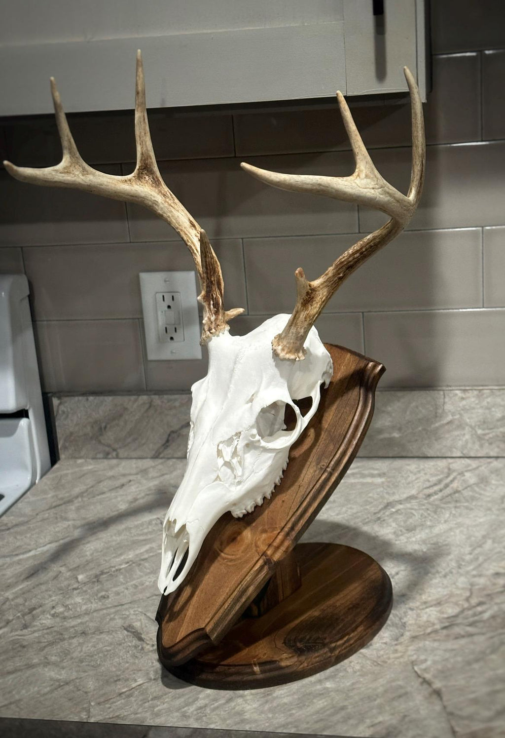Oval Tabletop Pedestal