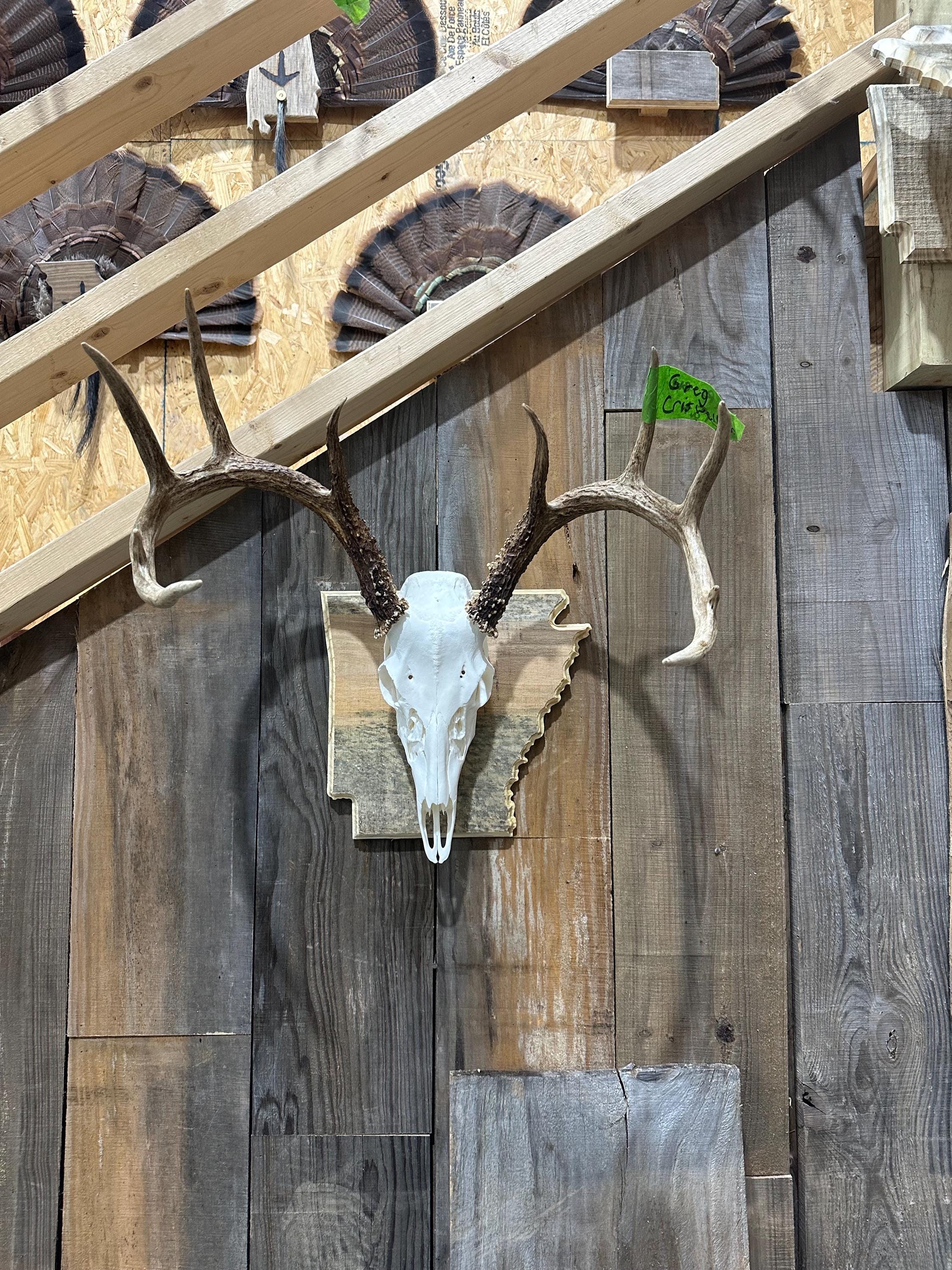 Arkansas Large State Plaque