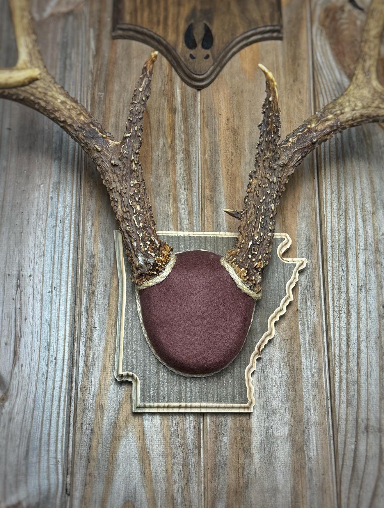 Arkansas Antler Mount Kit (Instructional Video) (All States Available)