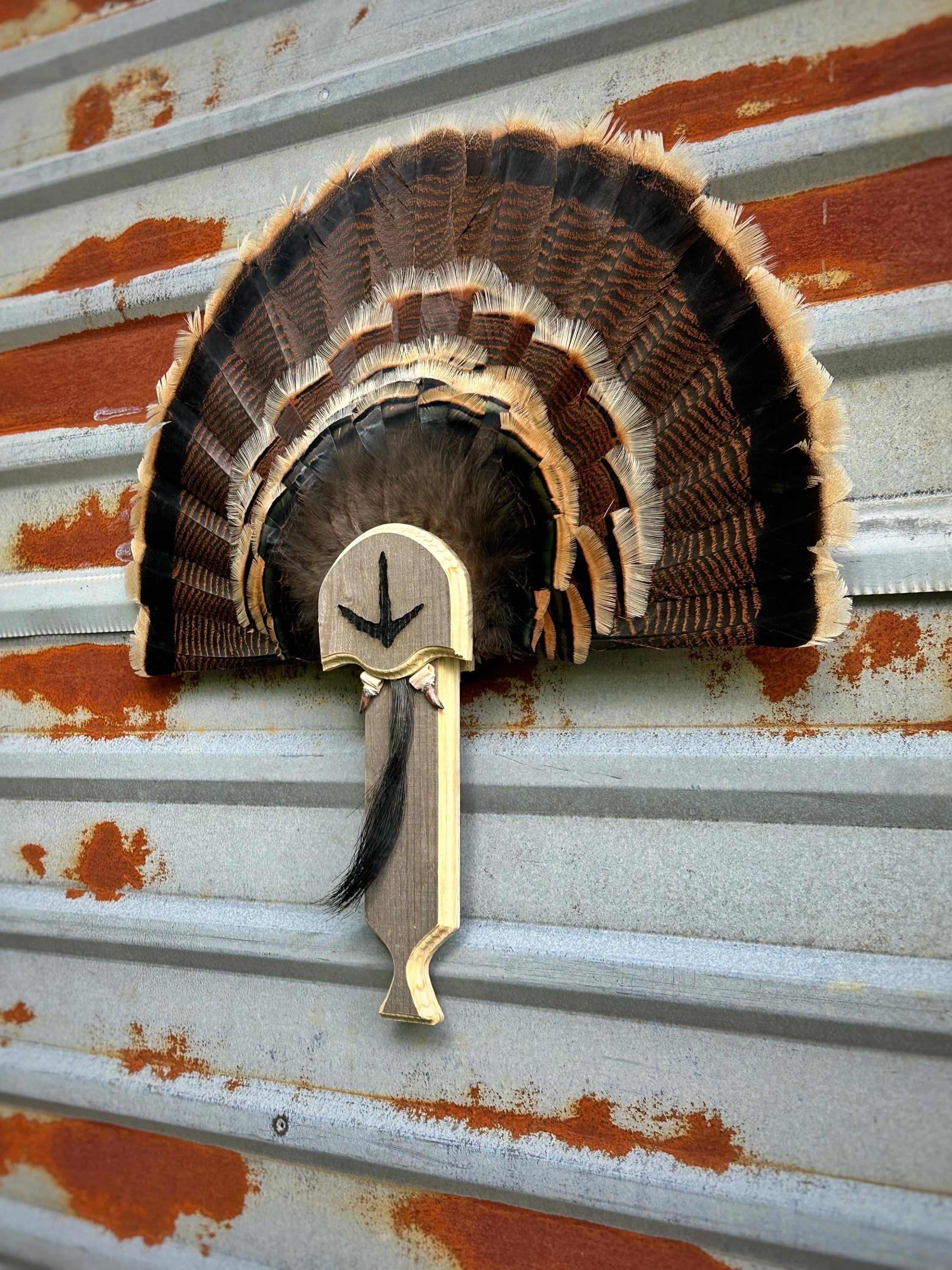 Turkey Fan Plaque (Box Call) (Barnwood)