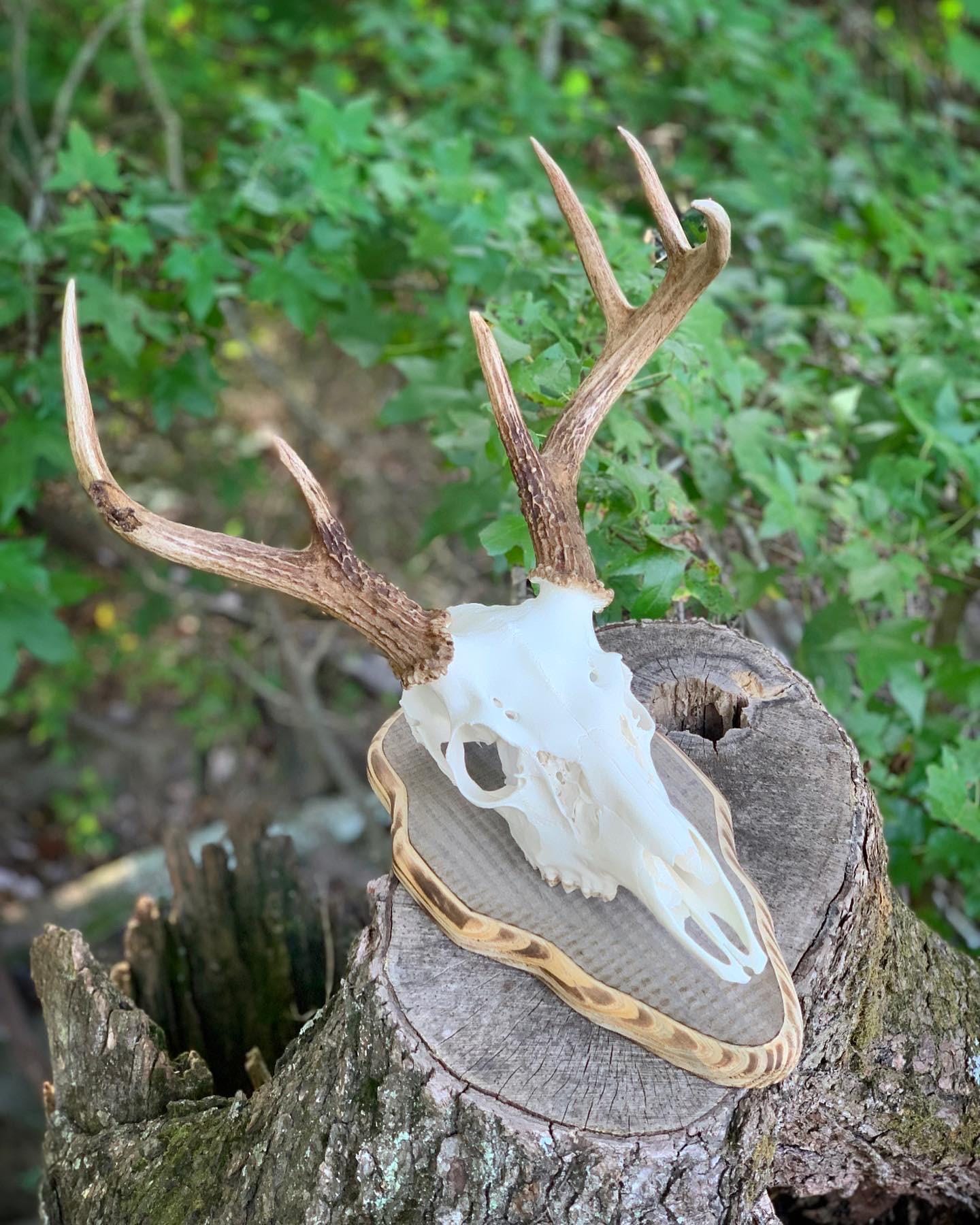 Barnwood European Plaque (Burnt Edges) (Rounded)