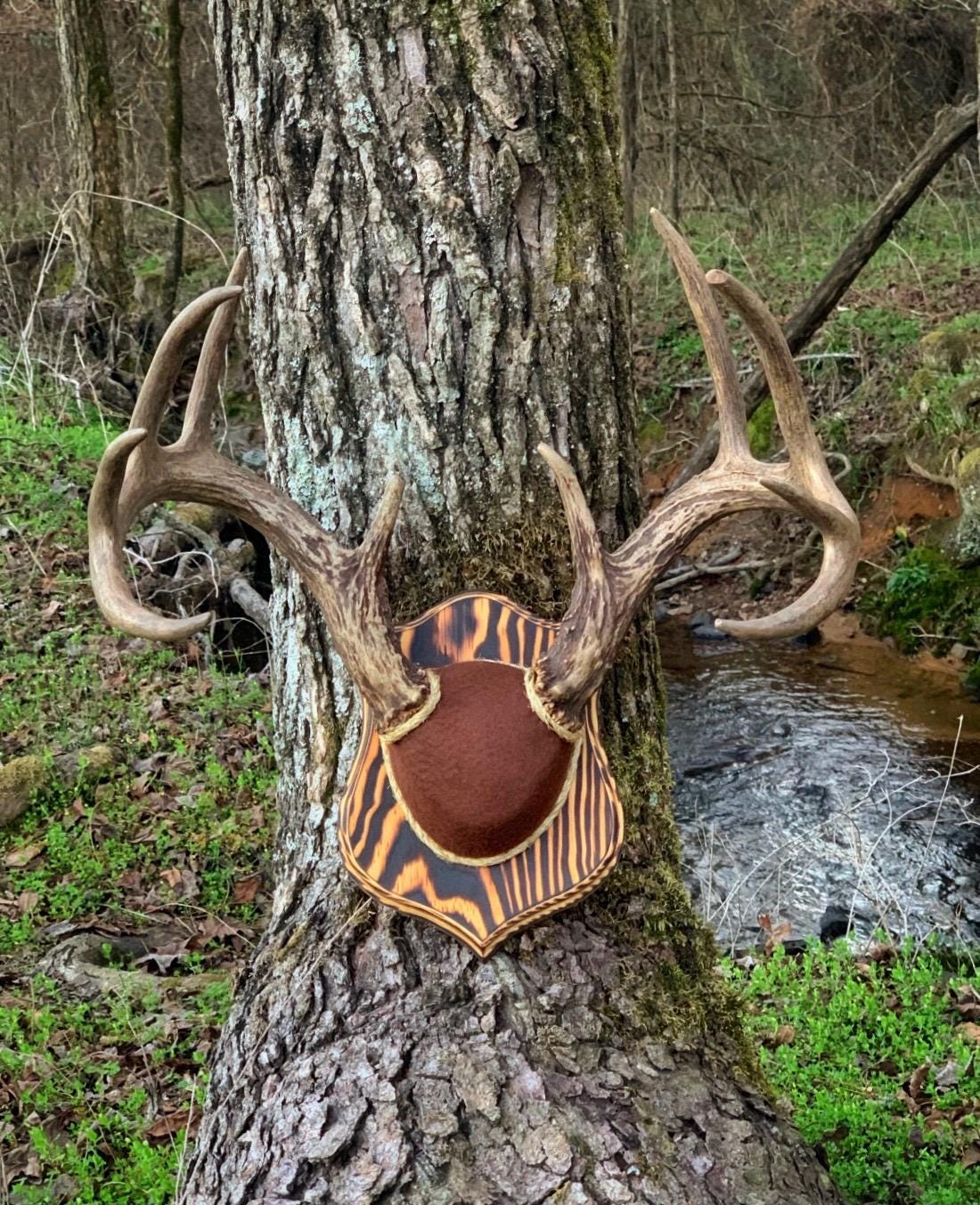 Antler Mount Kit (Badge Plaque) (Instructional Video)