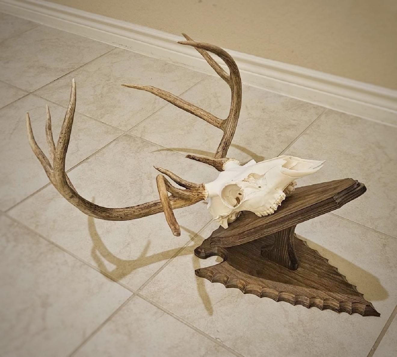 Arrowhead Wall Pedestal