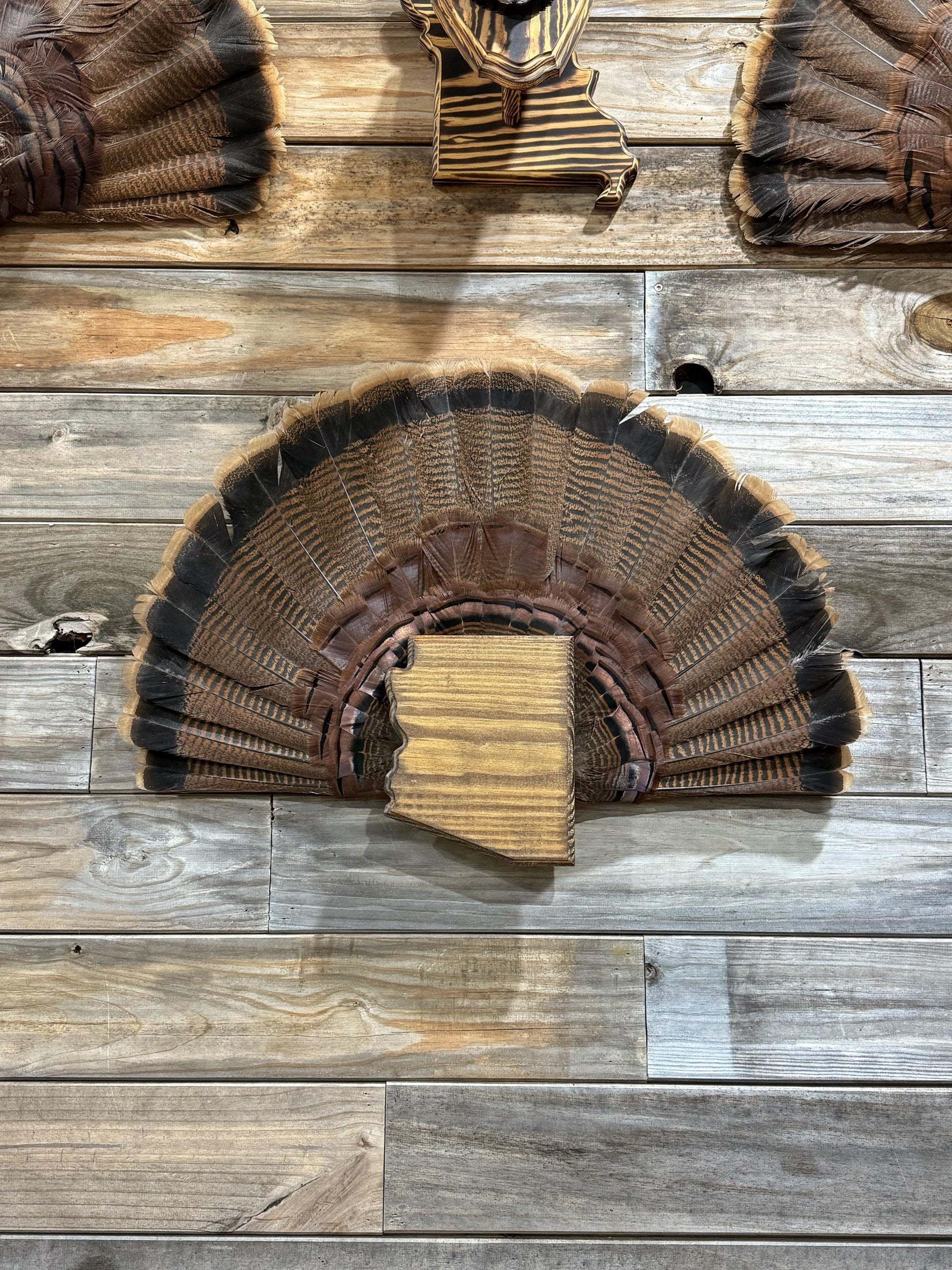 Arizona Turkey Fan Plaque