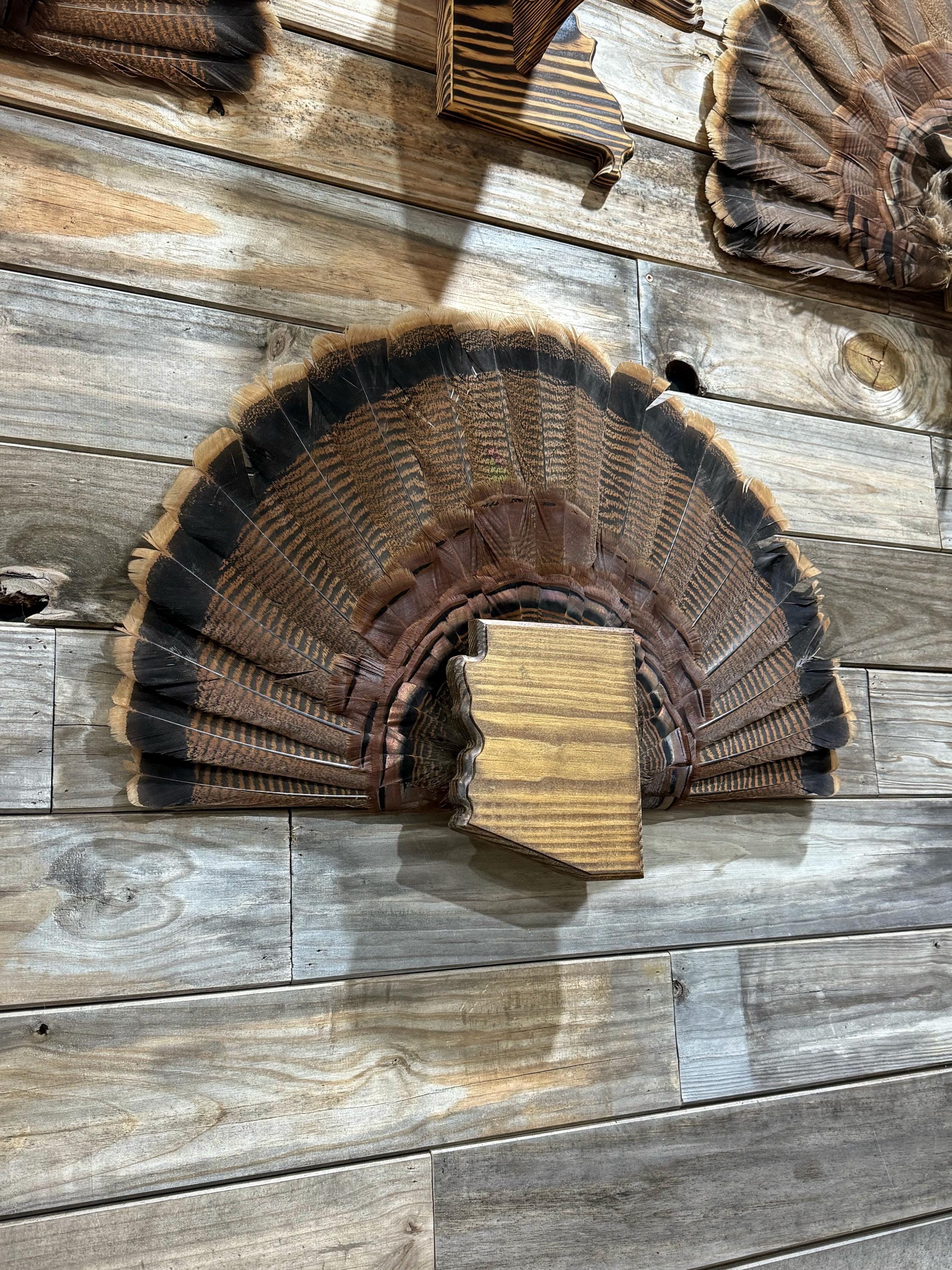 Arizona Turkey Fan Plaque