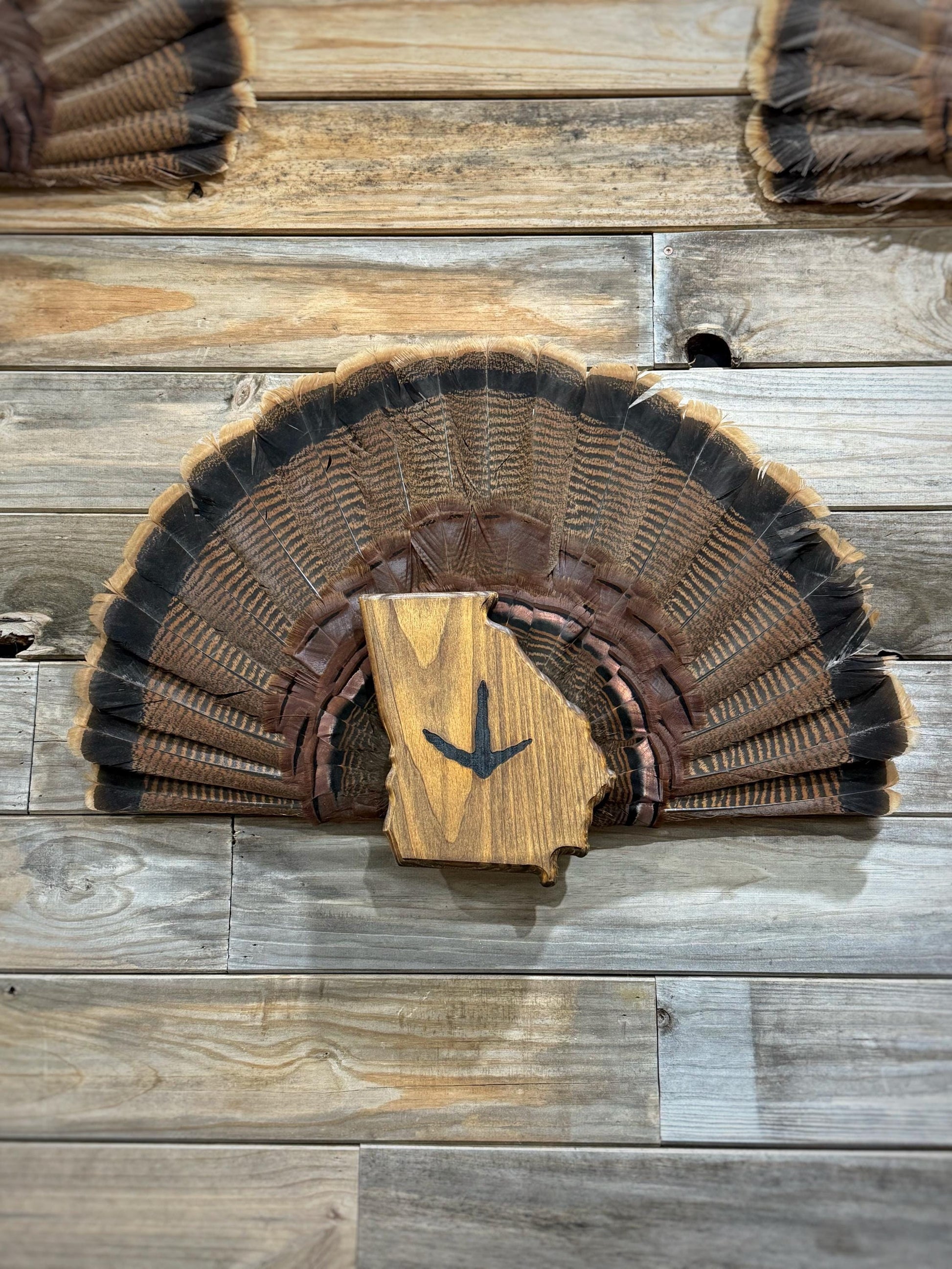 Georgia Turkey Fan Plaque