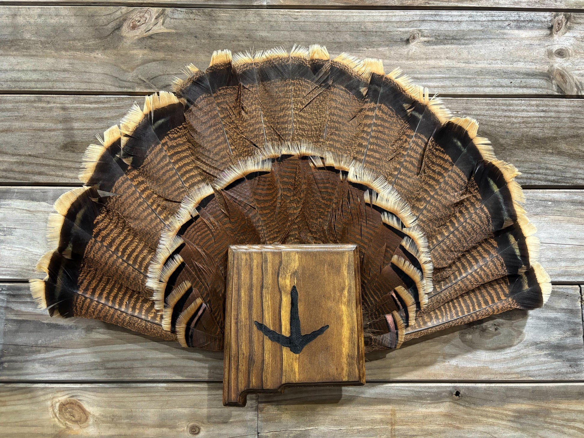 New Mexico Turkey Fan Plaque