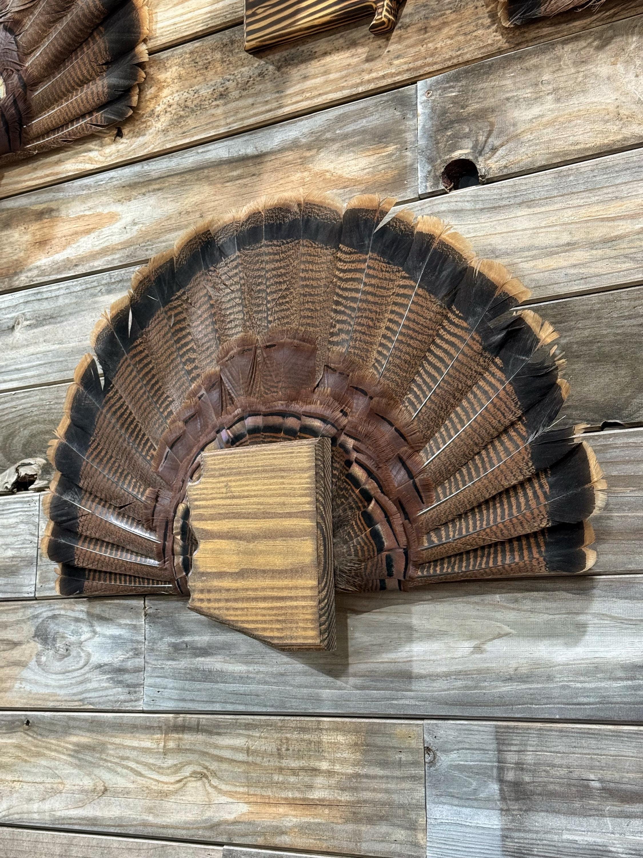 Arizona Turkey Fan Plaque