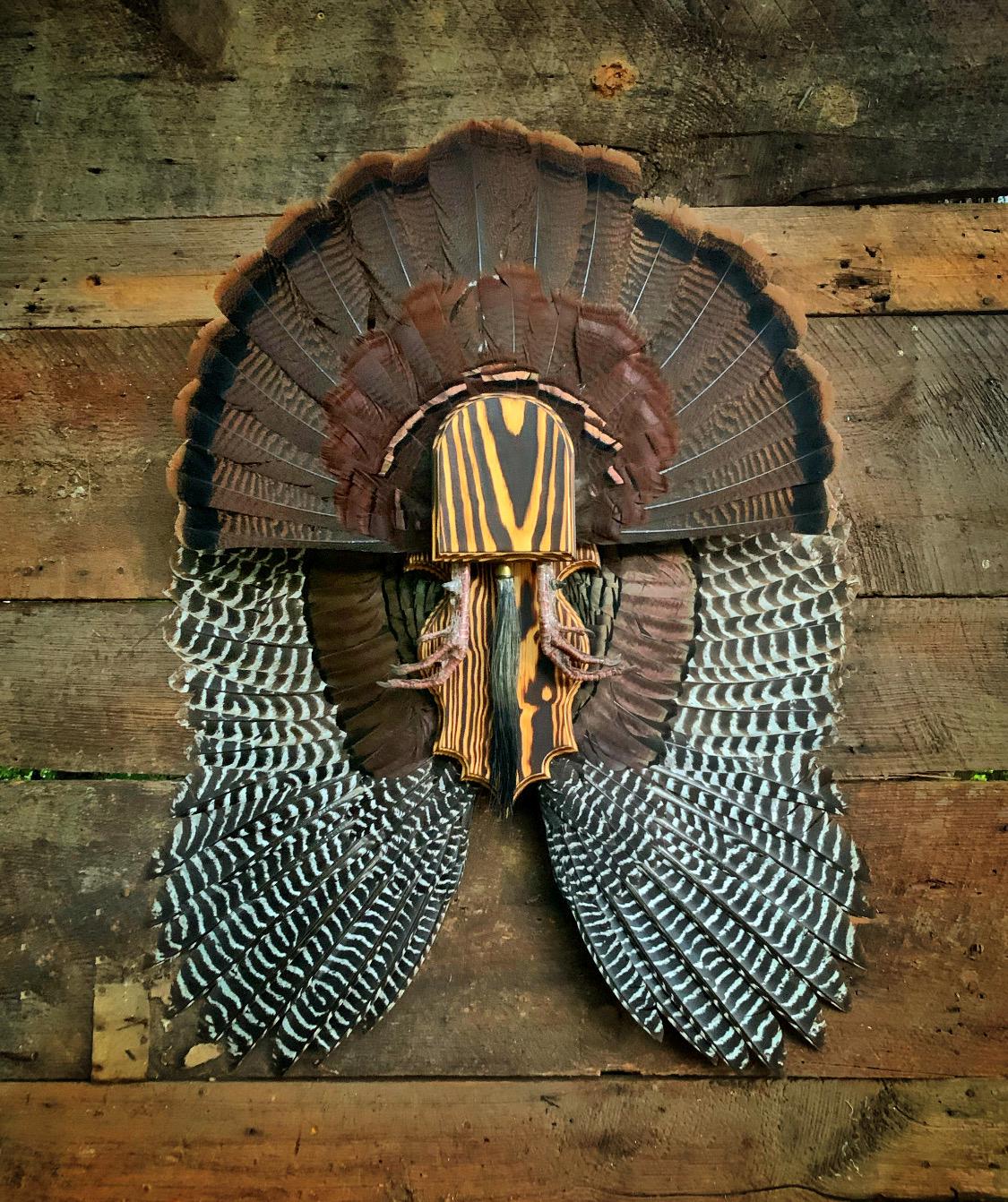 Fan and Wing Mount Plaque