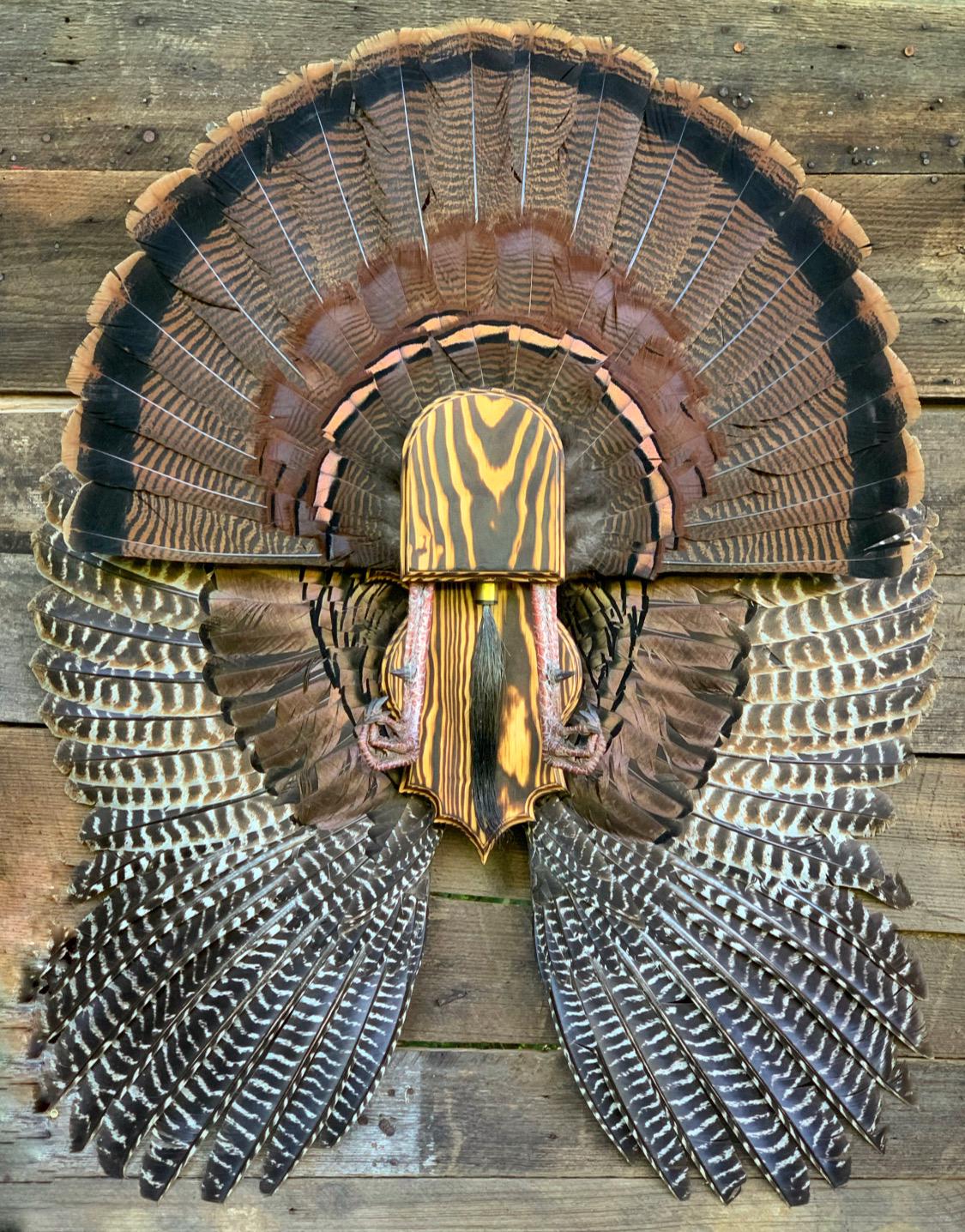 Fan and Wing Mount Plaque