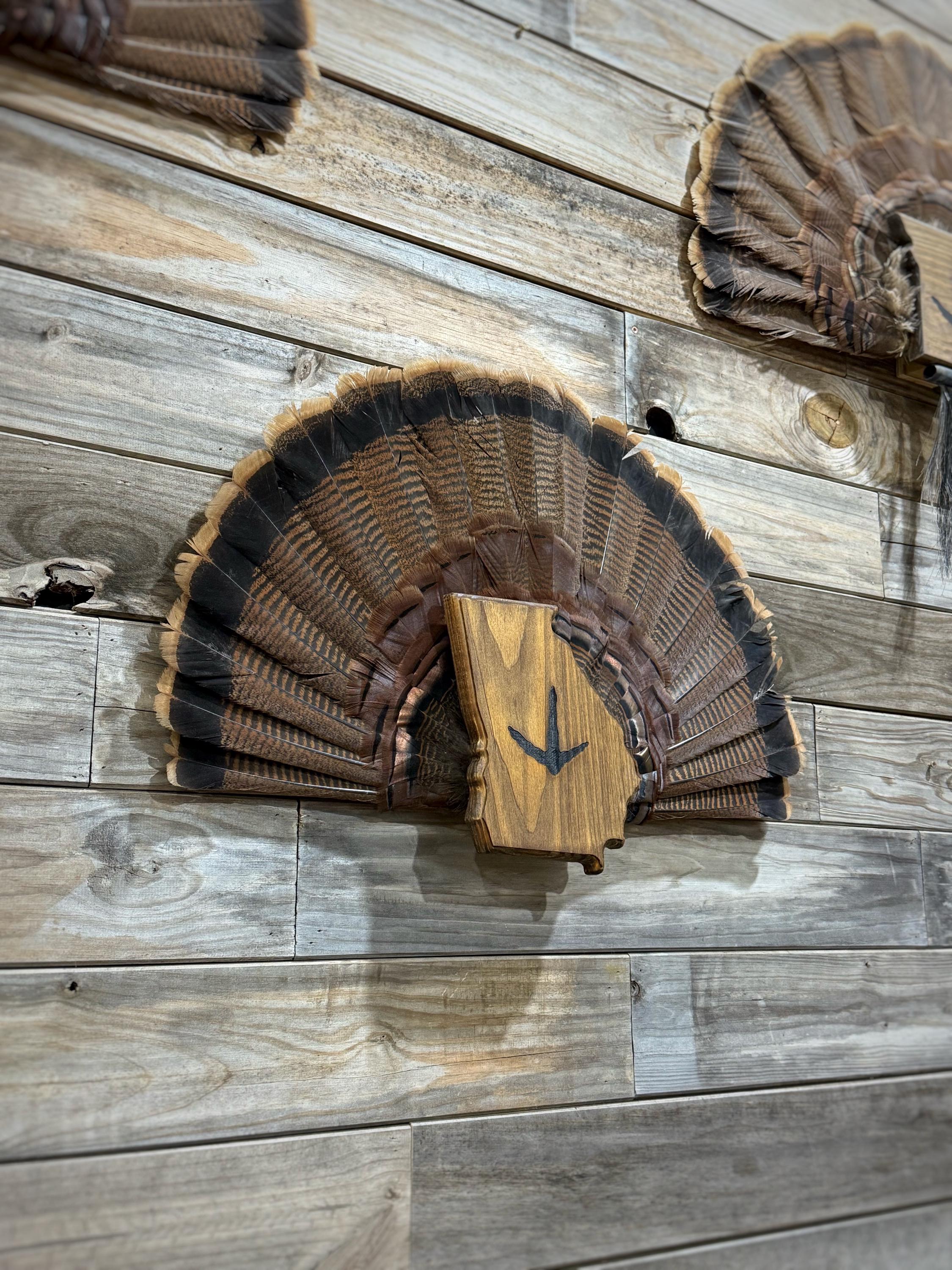 Georgia Turkey Fan Plaque