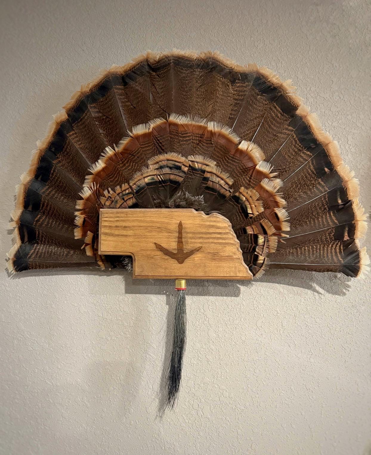 Nebraska Turkey Fan Plaque
