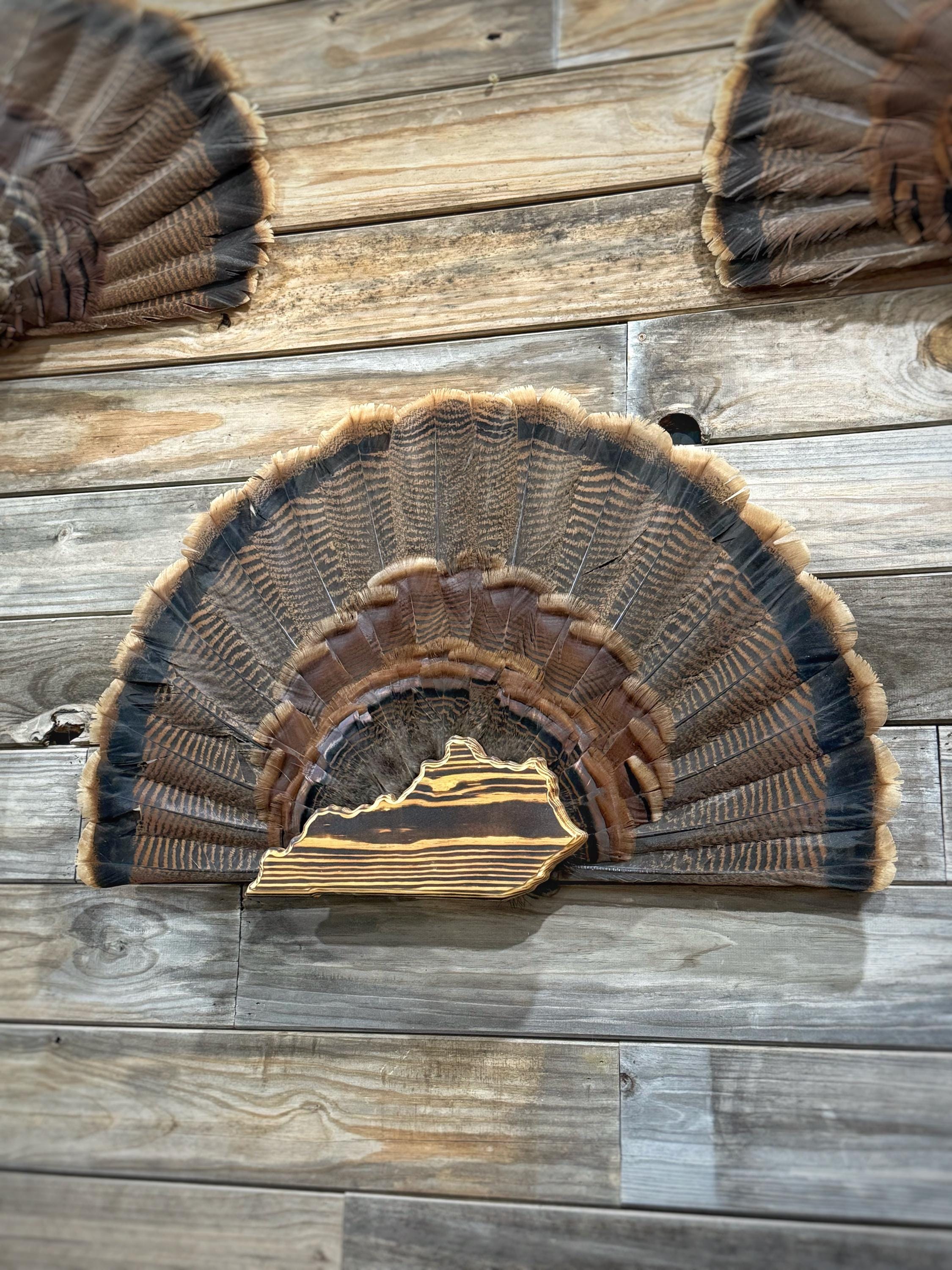 Kentucky Turkey Fan Plaque