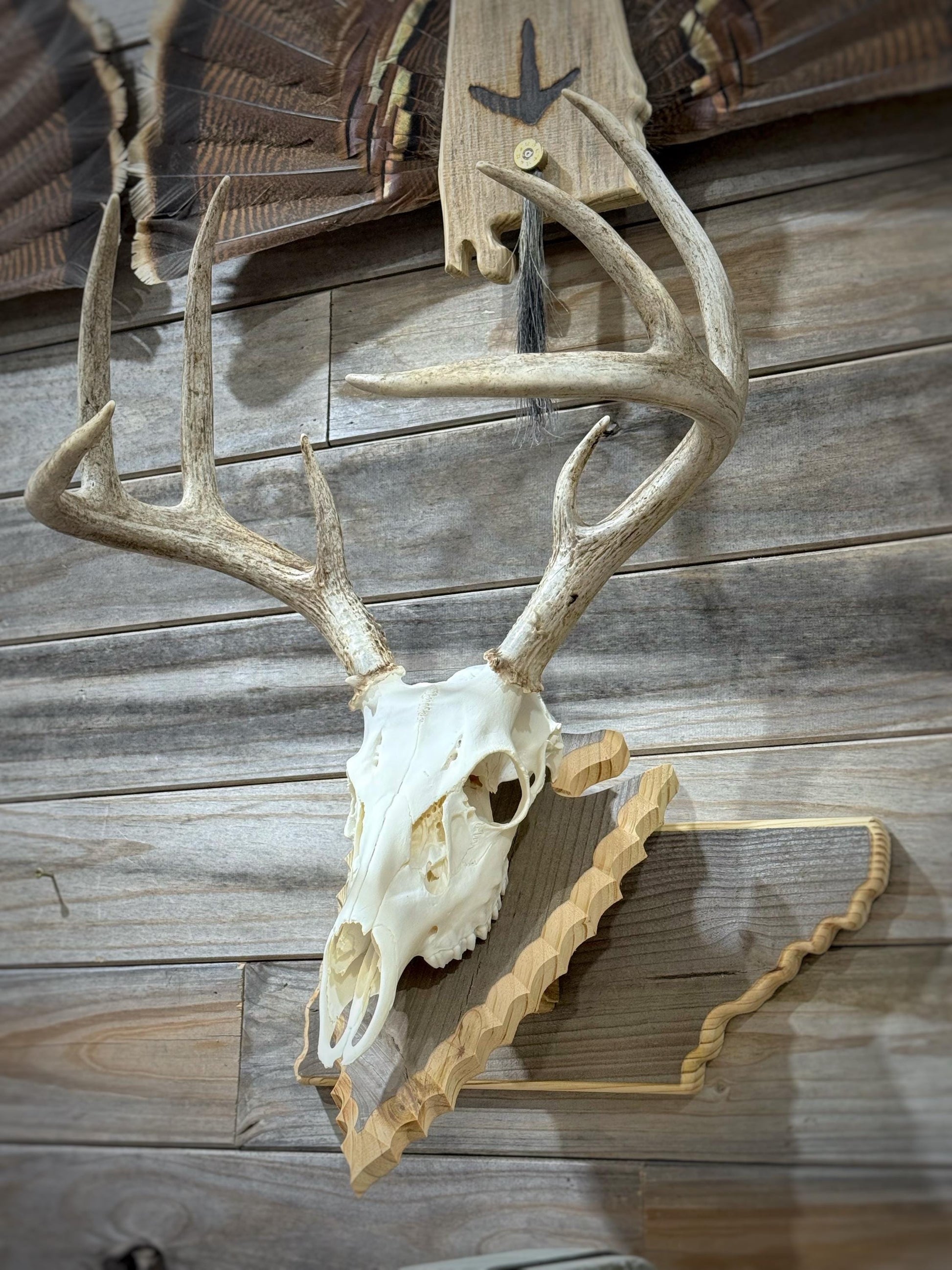 Tennessee Wall Pedestal