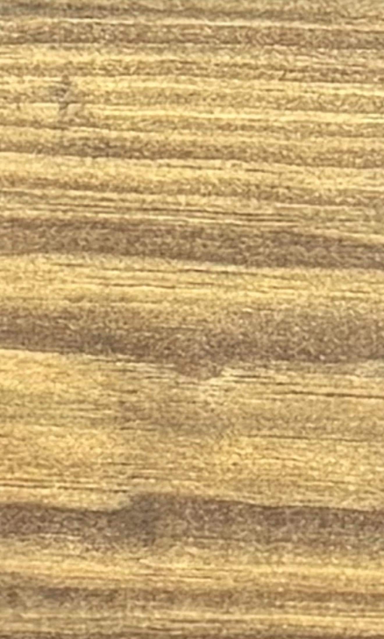 Mississippi Turkey Fan Plaque