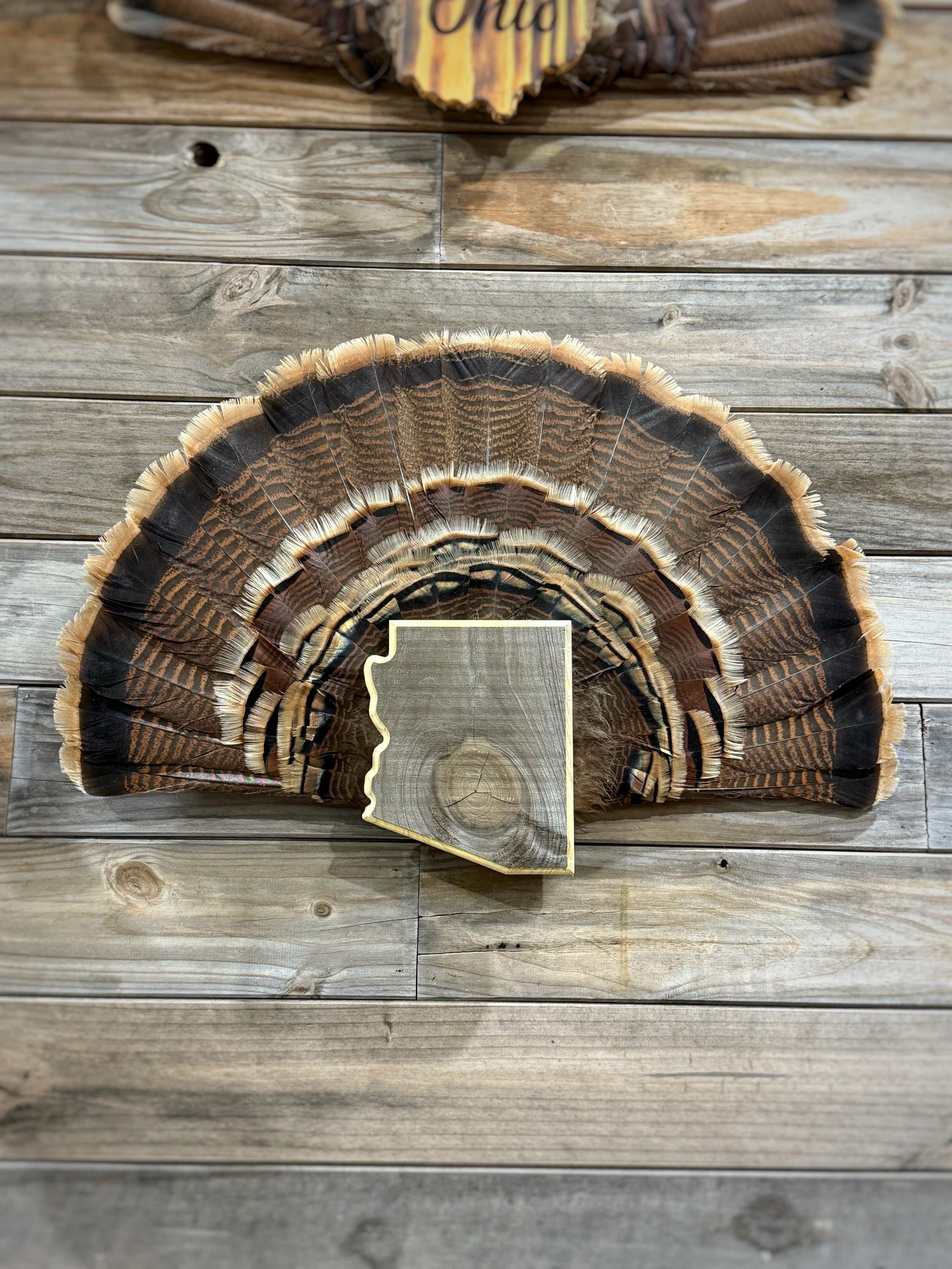 Arizona Turkey Fan Plaque