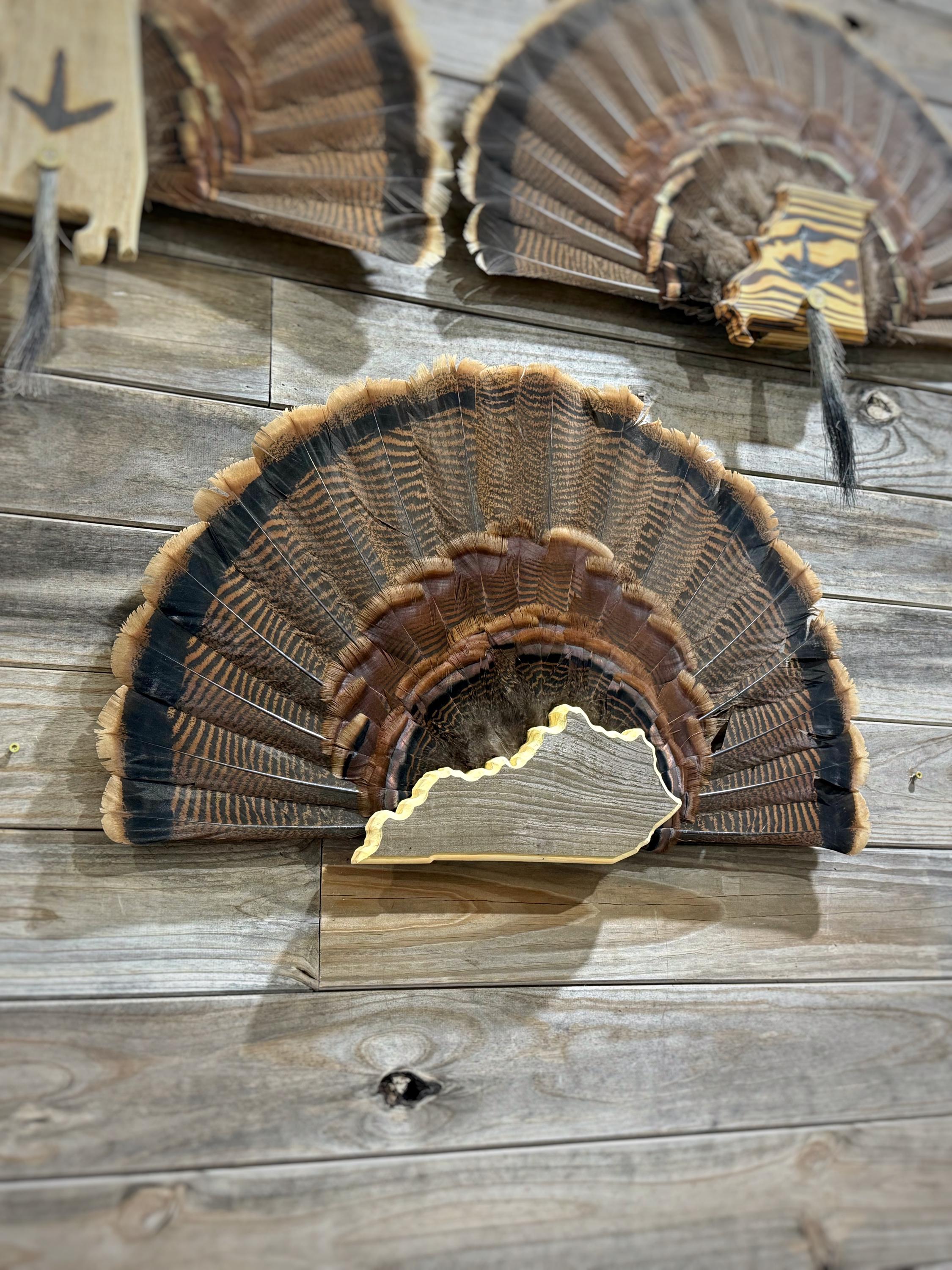 Kentucky Turkey Fan Plaque