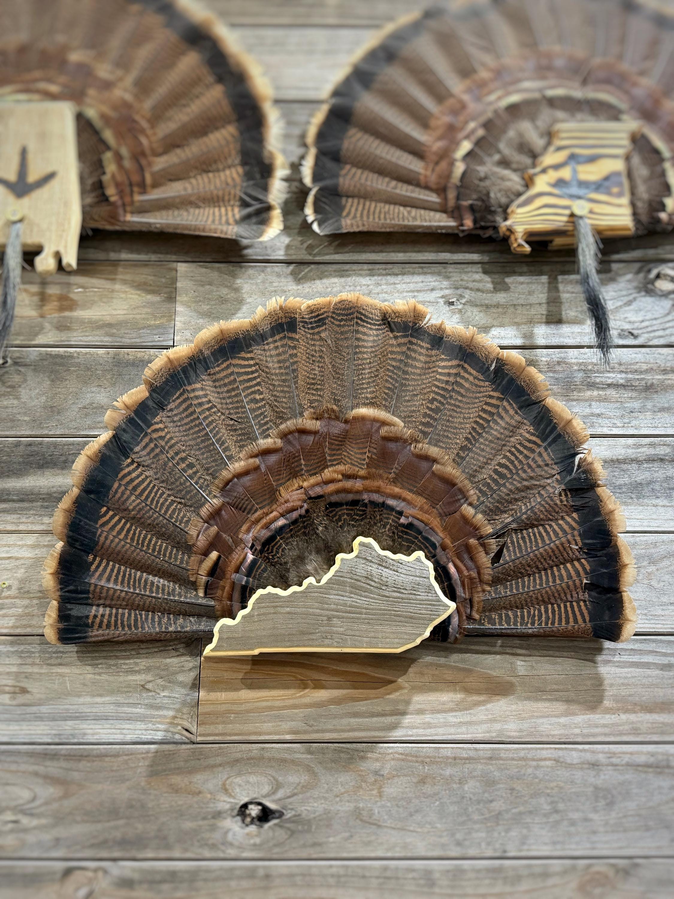 Kentucky Turkey Fan Plaque