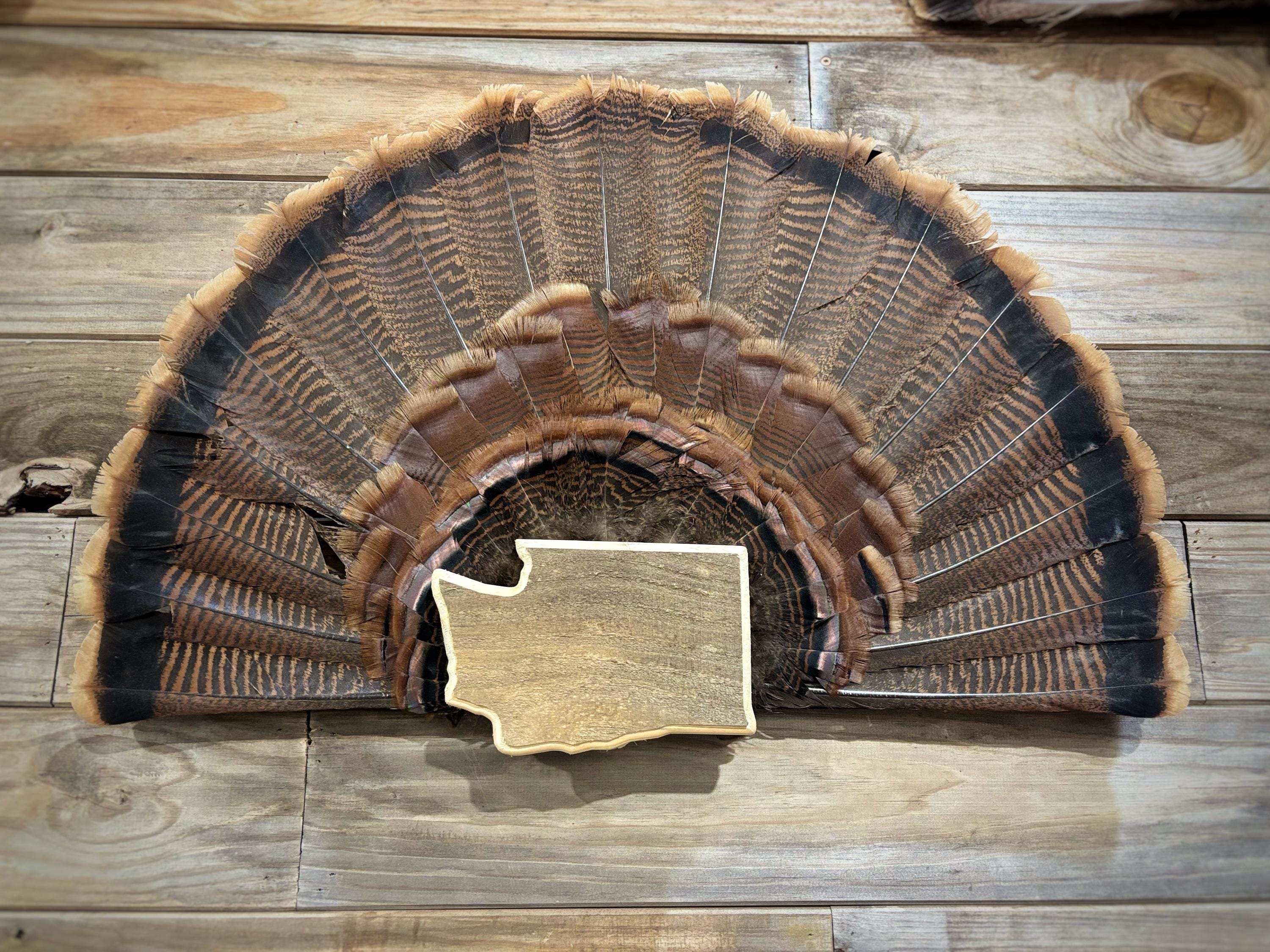 Washington Turkey Fan Plaque