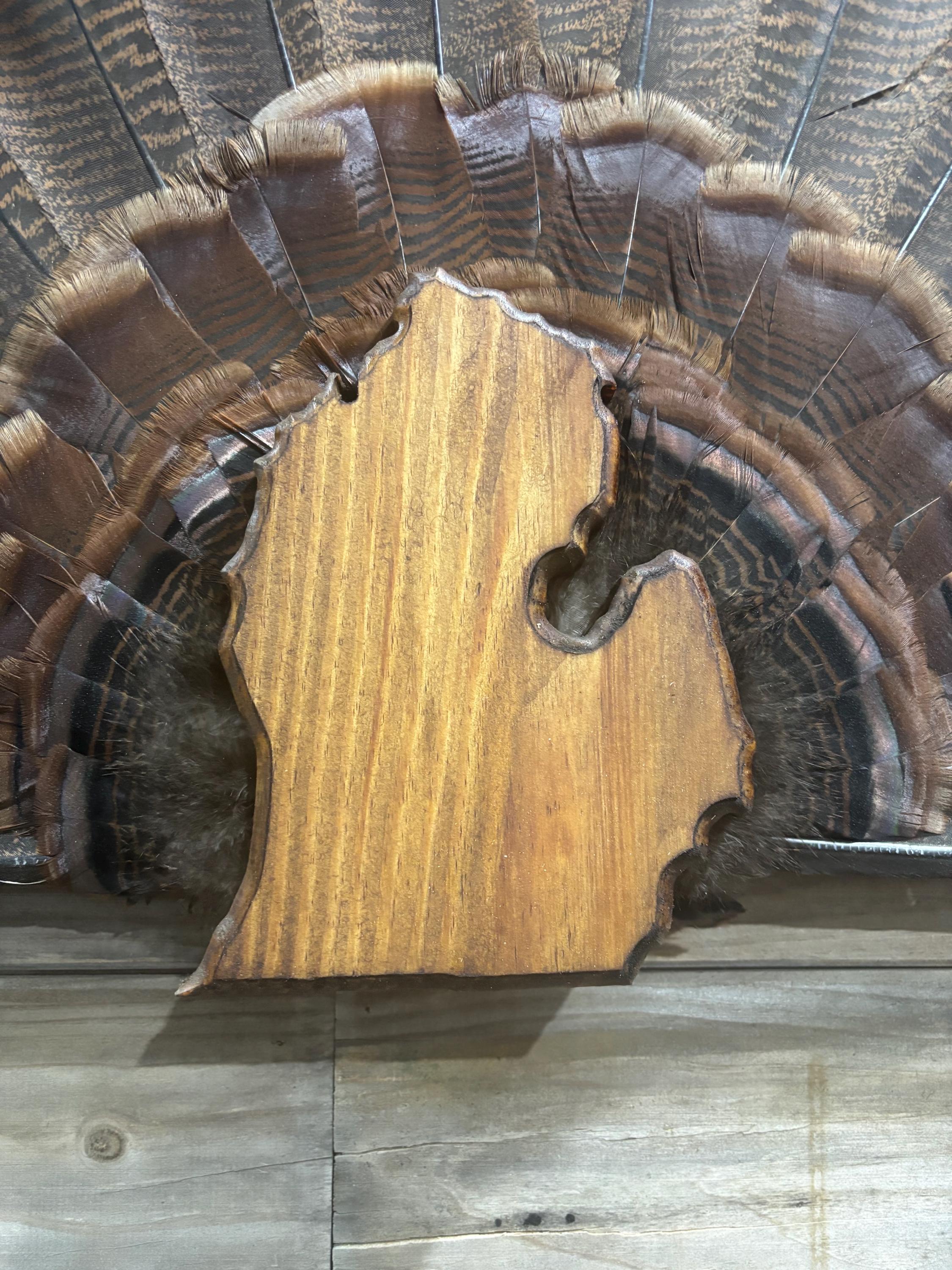 Michigan Turkey Fan Plaque (Lower Peninsula)