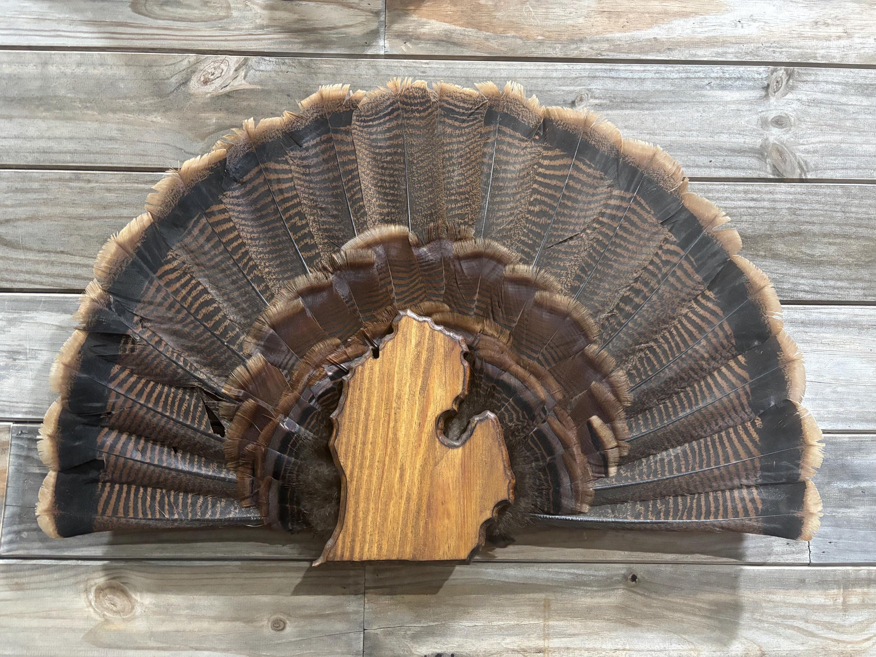 Michigan Turkey Fan Plaque (Lower Peninsula)