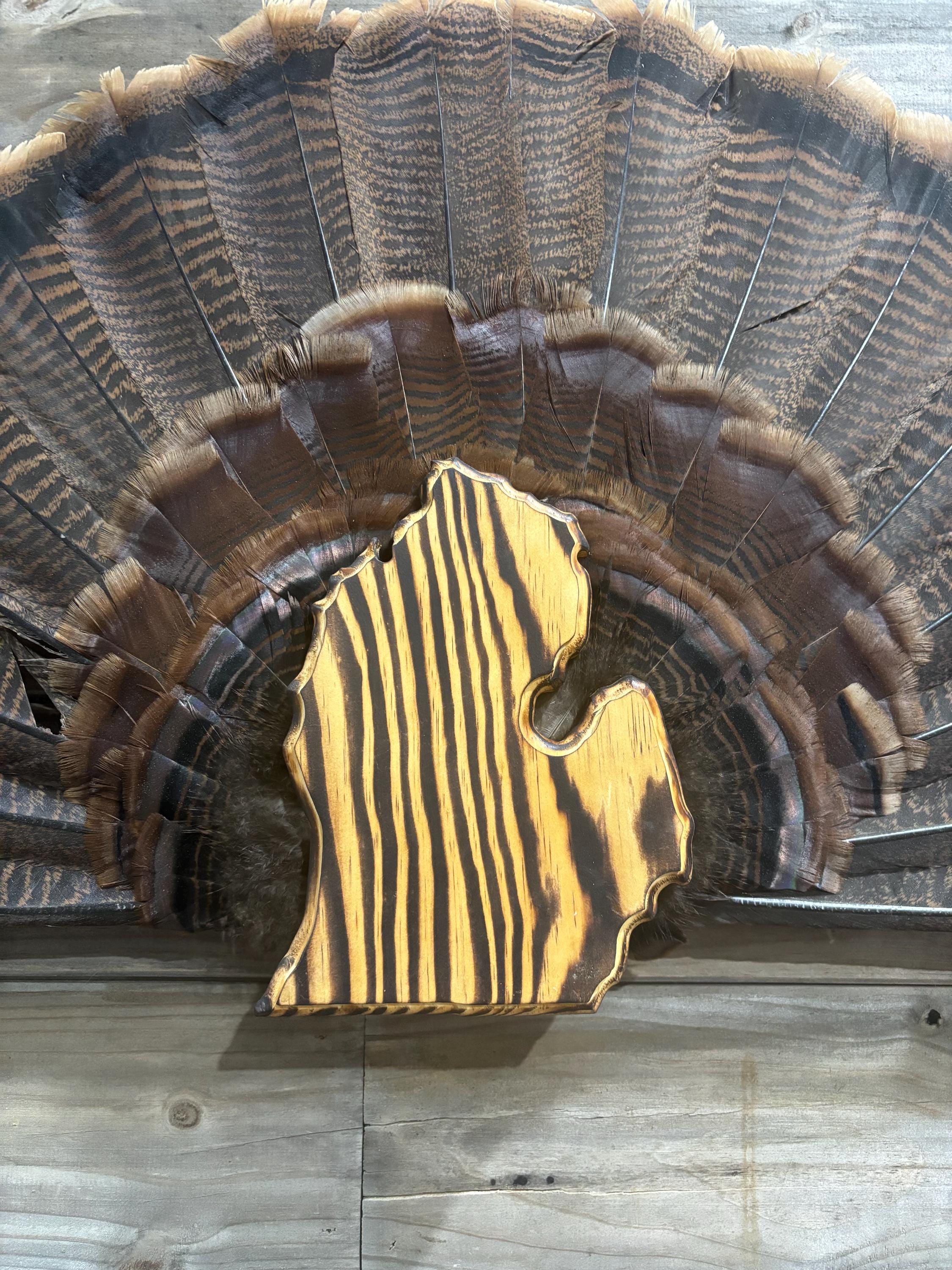 Michigan Turkey Fan Plaque (Lower Peninsula)