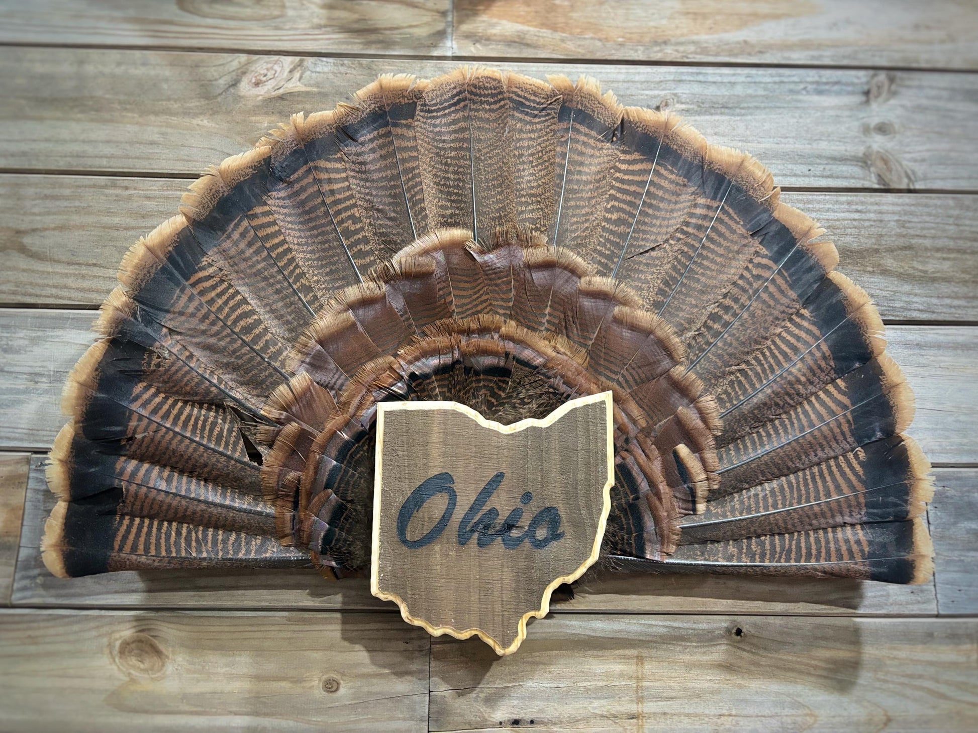 Ohio Turkey Fan Plaque