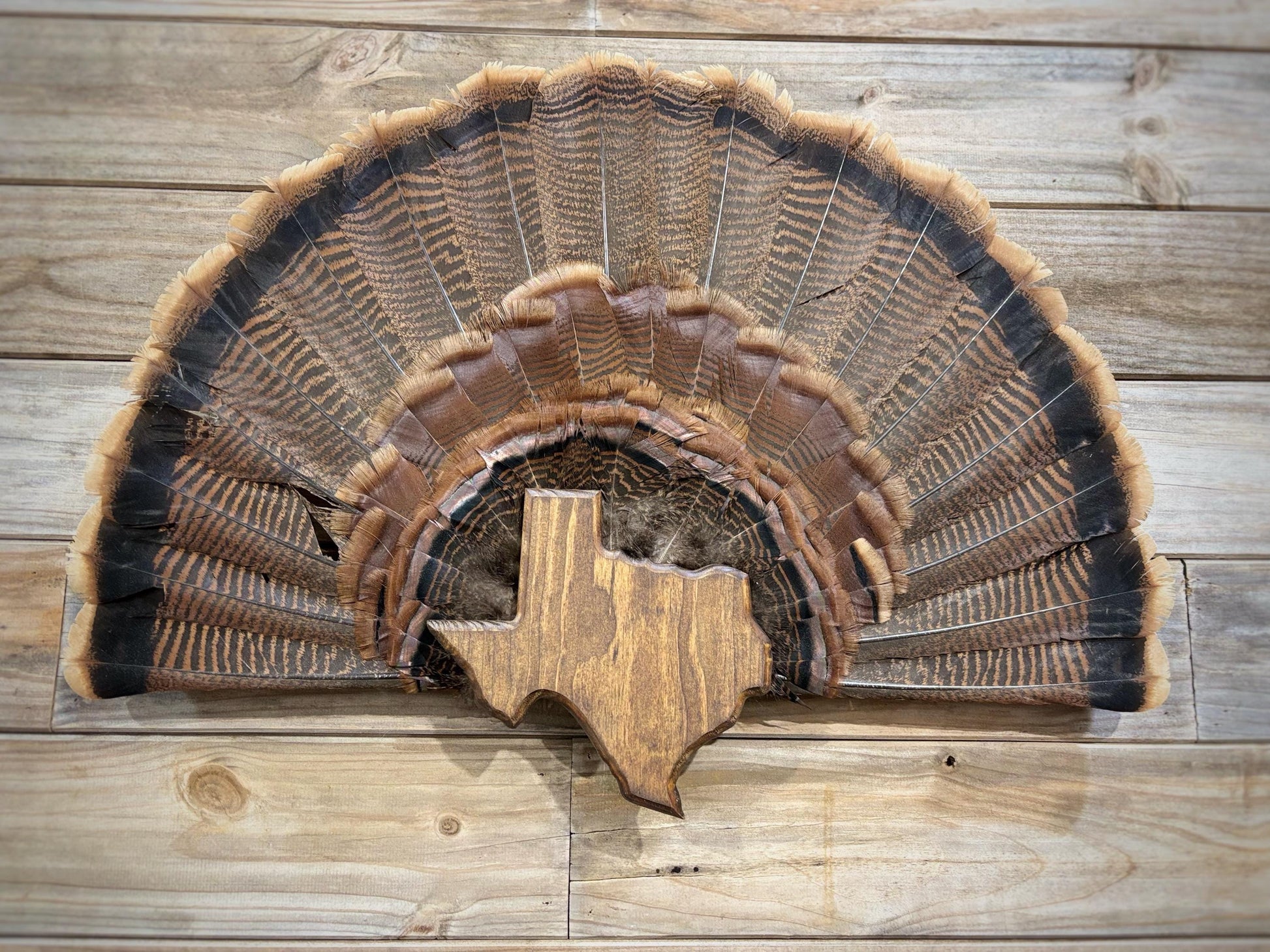 Texas Turkey Fan Plaque