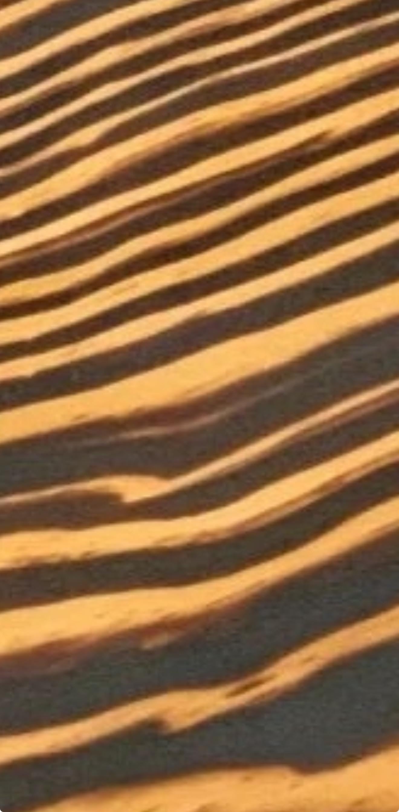 Washington Turkey Fan Plaque