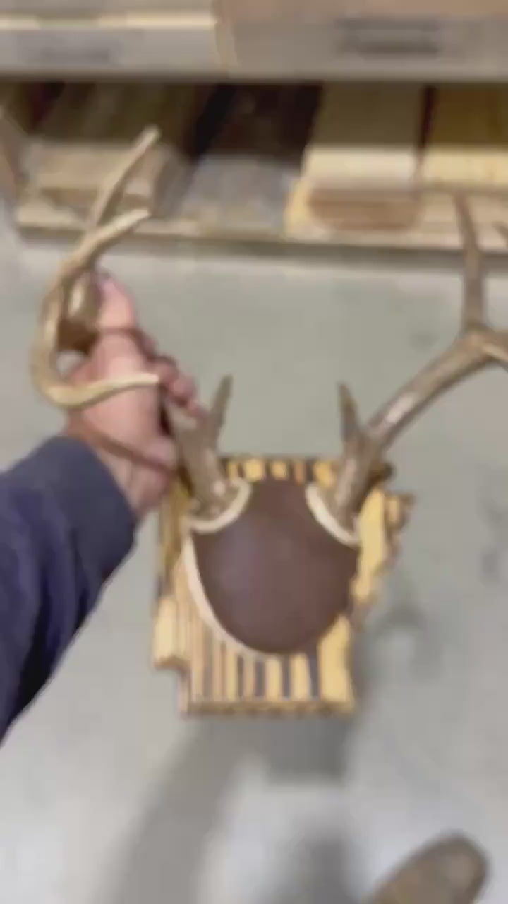 Arkansas Antler Mount Kit (Instructional Video) (All States Available)