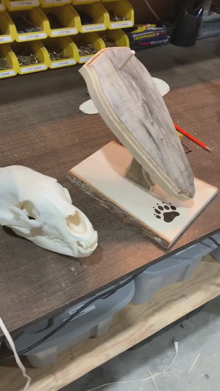 Bear Euro Mount Pedestal